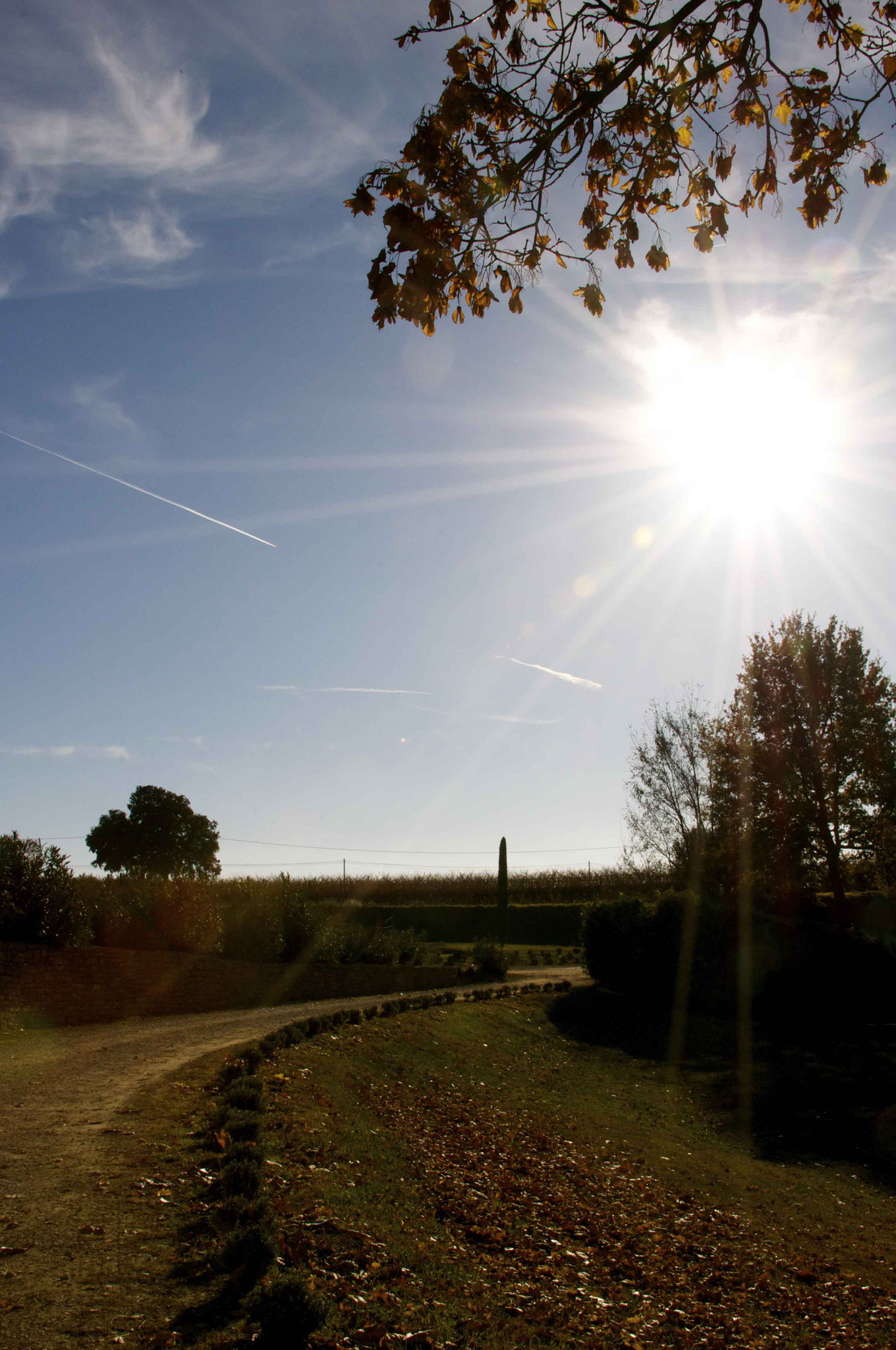 French Countryside 2