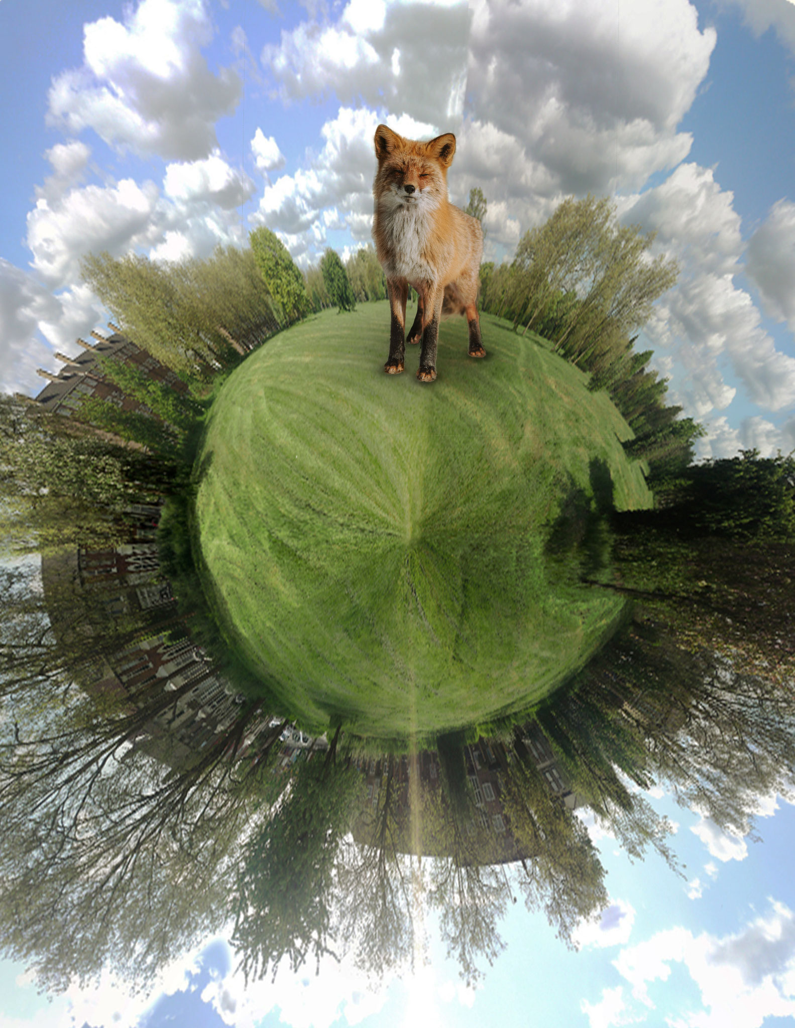Mini mundo