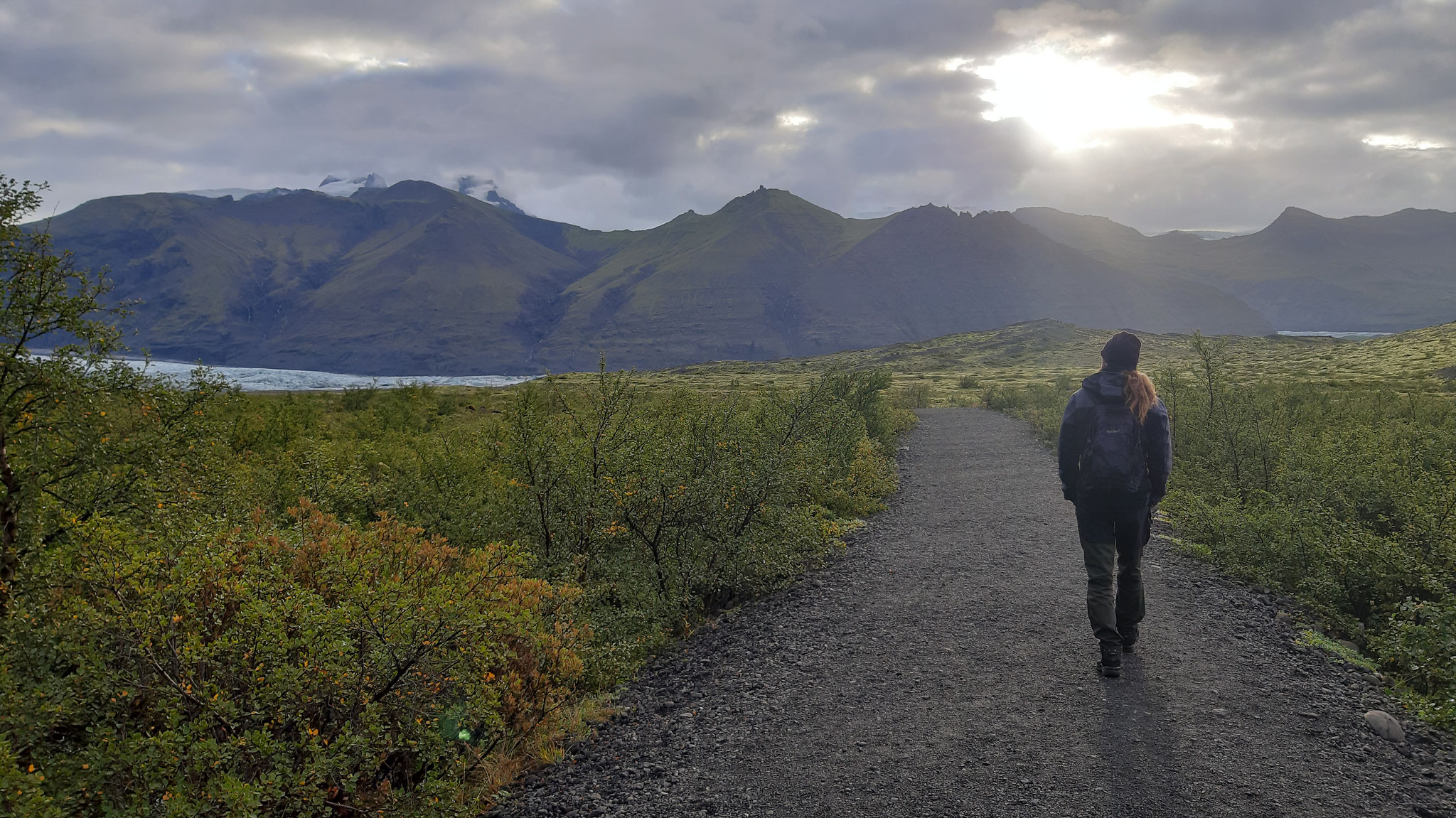 Weg zum Skaftafellsjökull, Is 21