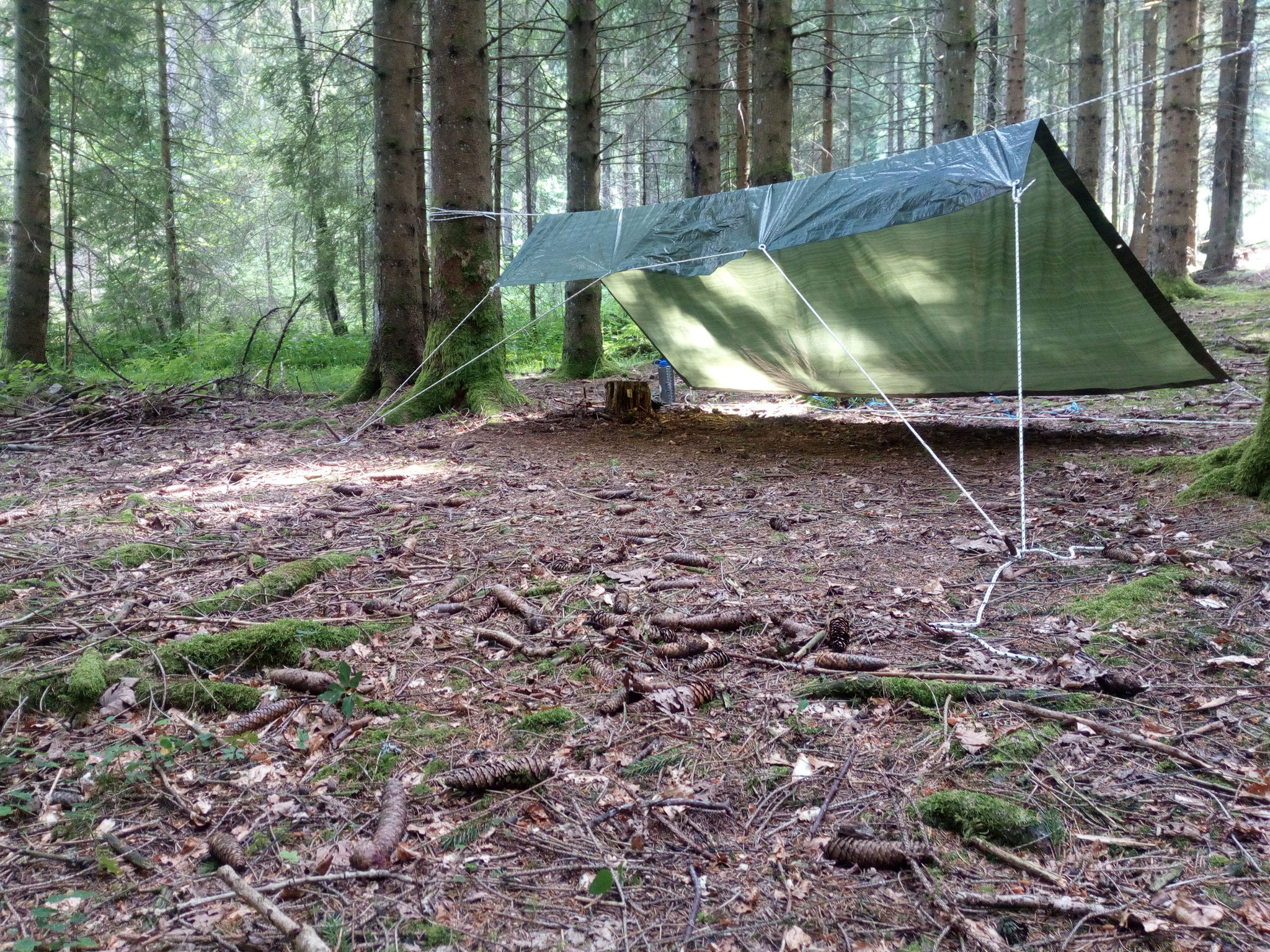 Im Morgengrauen trieb der Bauer plötzlich seine Kühe durch den Wald. Da war ich dann erstmal wach!