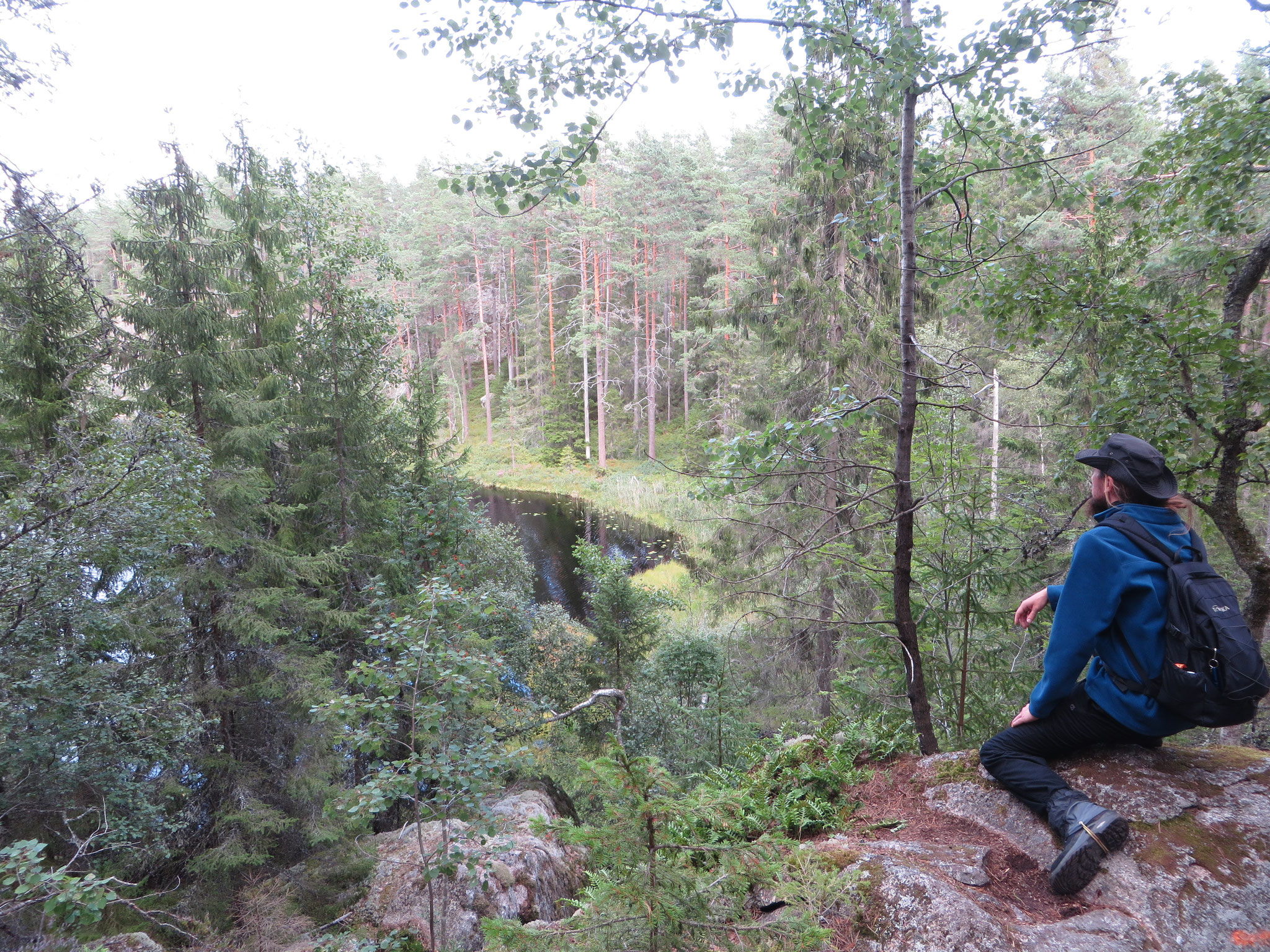 Schwarzwald mit Kiefern? Nein, Tiveden, Schweden 2019