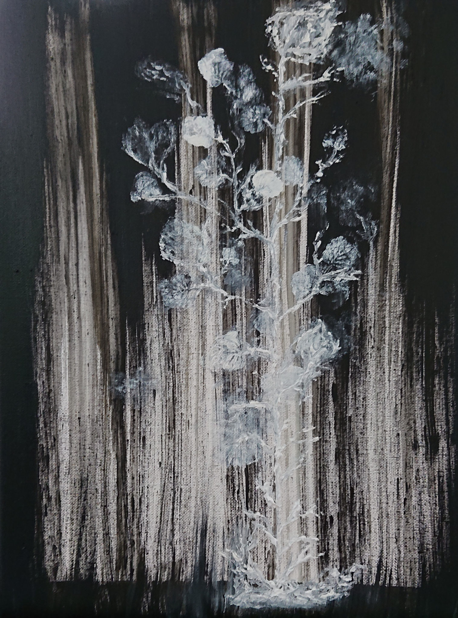 White Rose (40x30x1,5cm, Öl auf Leinwand)