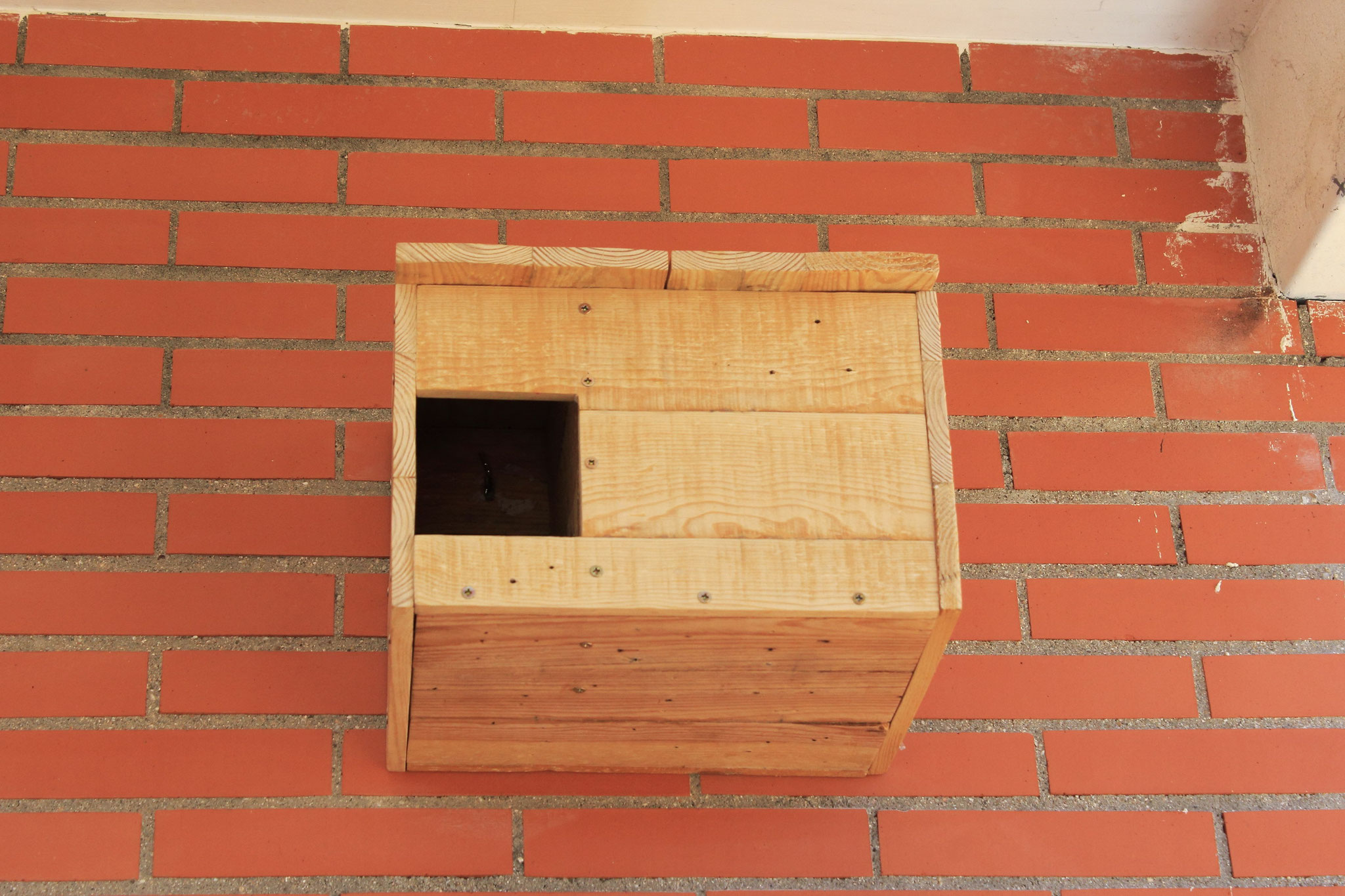 Vista frontal. Caja nido de mochuelo instalada en el IES Fernando Fernán Gomez (Humanes de Madrid)