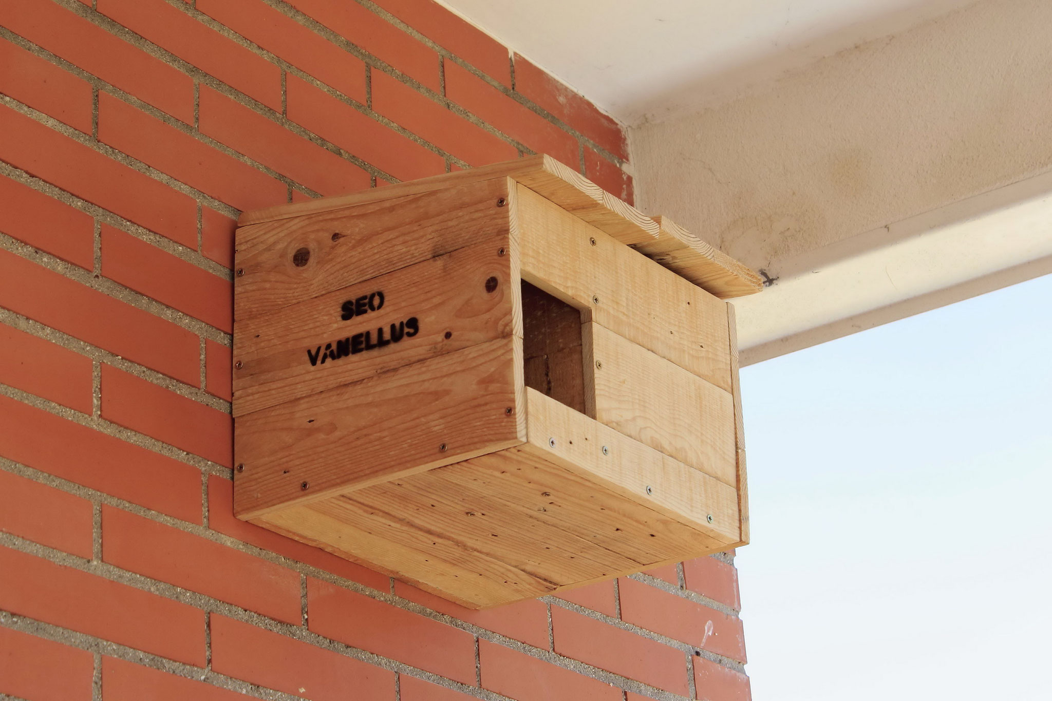 Vista lateral. Caja nido de mochuelo instalada en el IES Fernando Fernán Goméz (Humanes de Madrid)