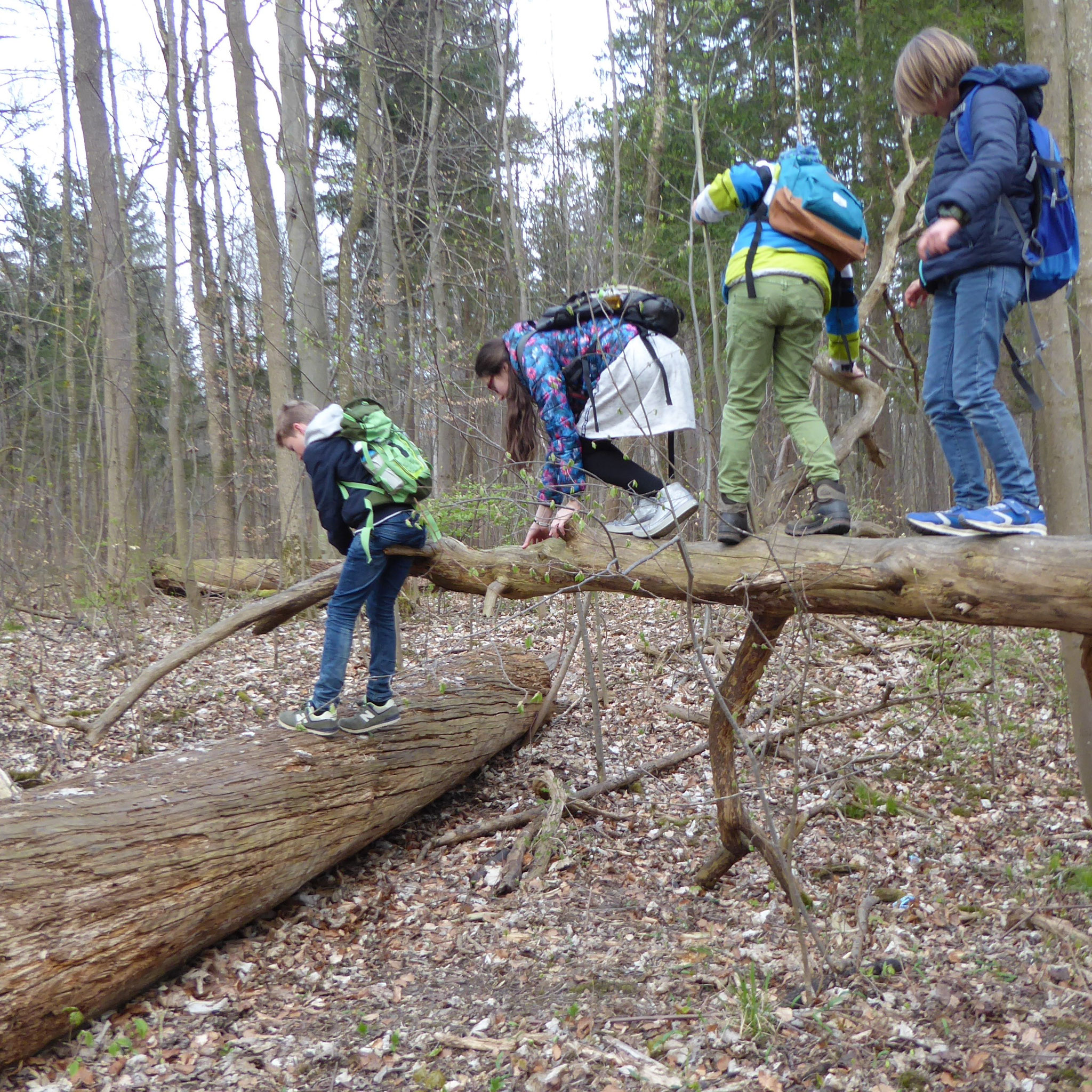 Wald erleben