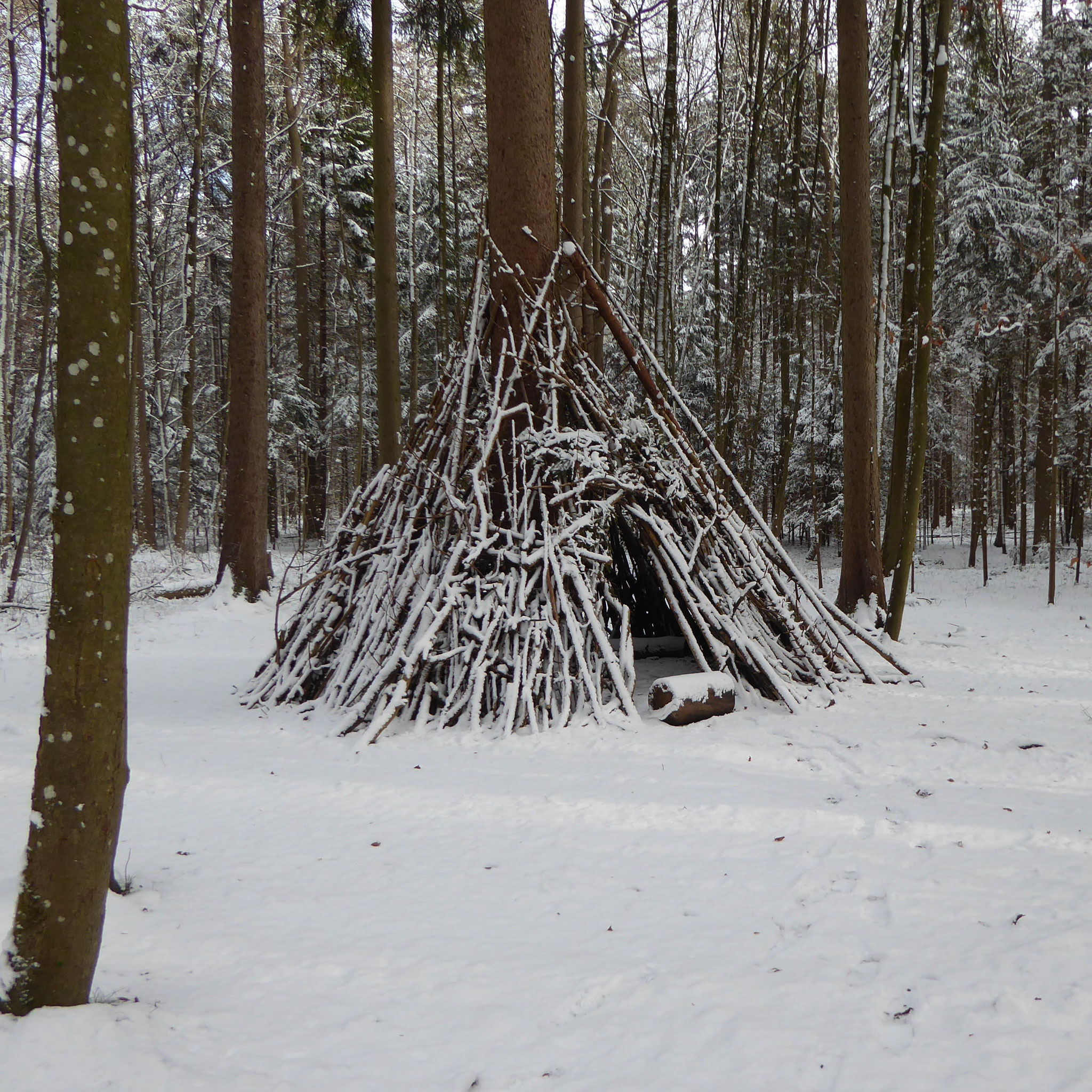 Waldtipi im Schnee