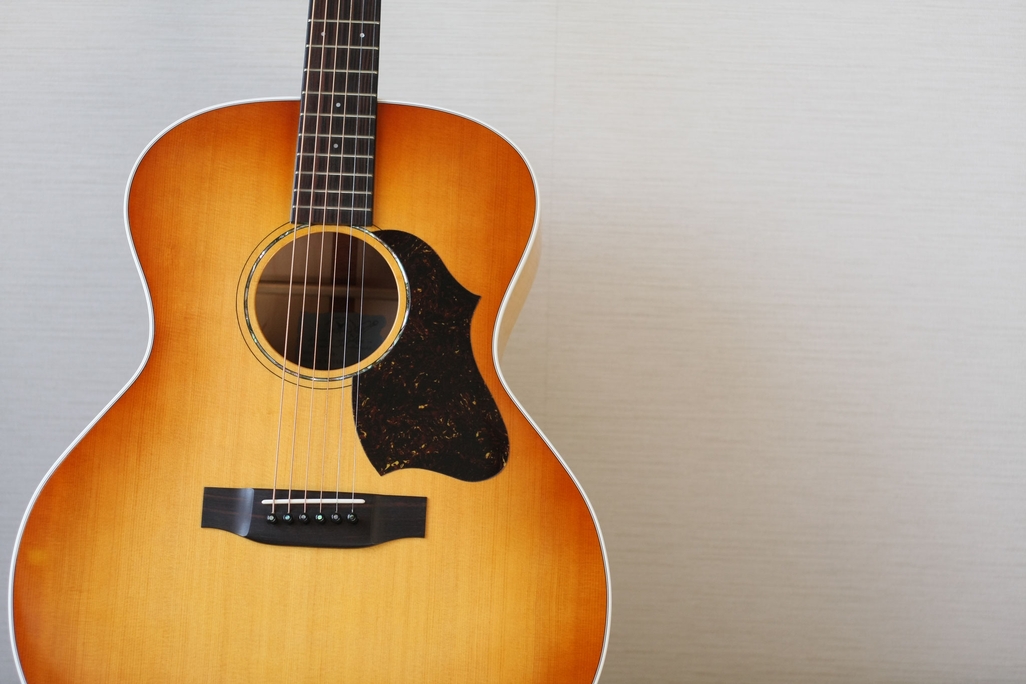 VL5 VINCENT guitar & others