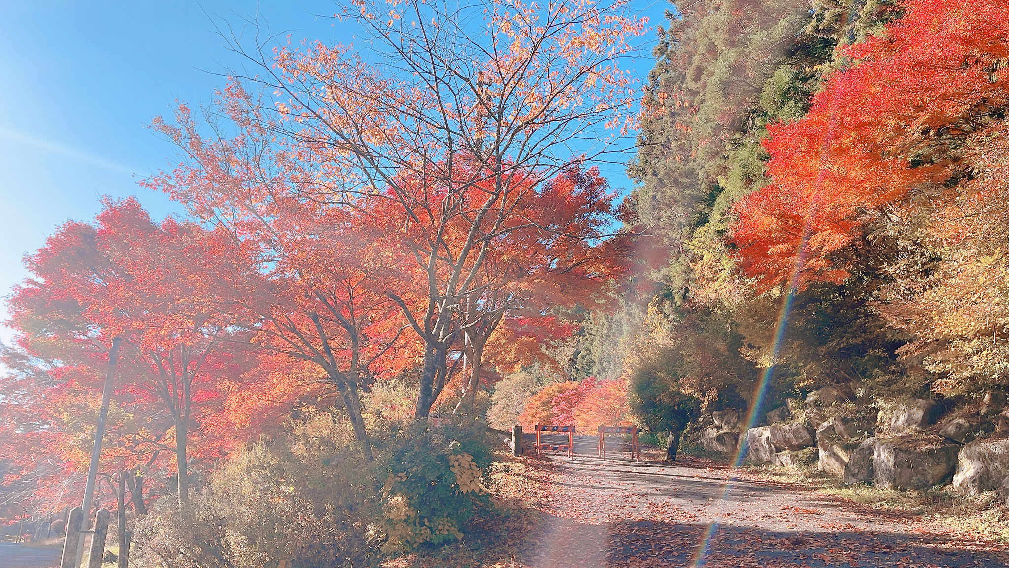 11.14