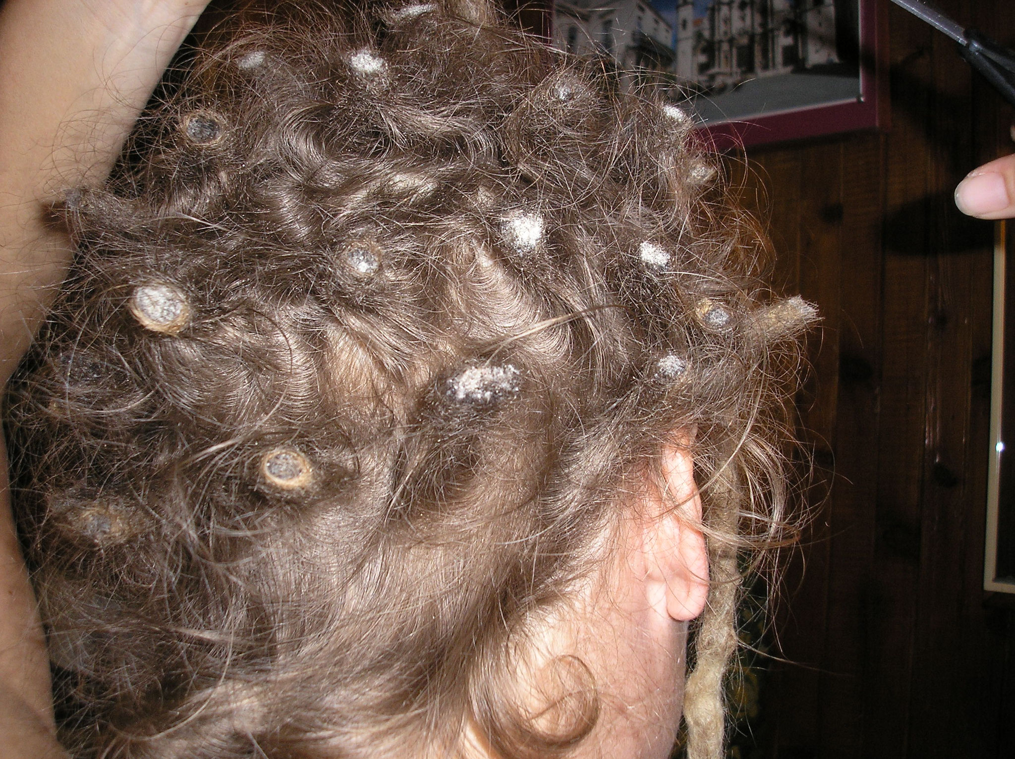 HOW TO REMOVE DREADS WITHOUT CUTTING THEM! Divine Dreadlocks