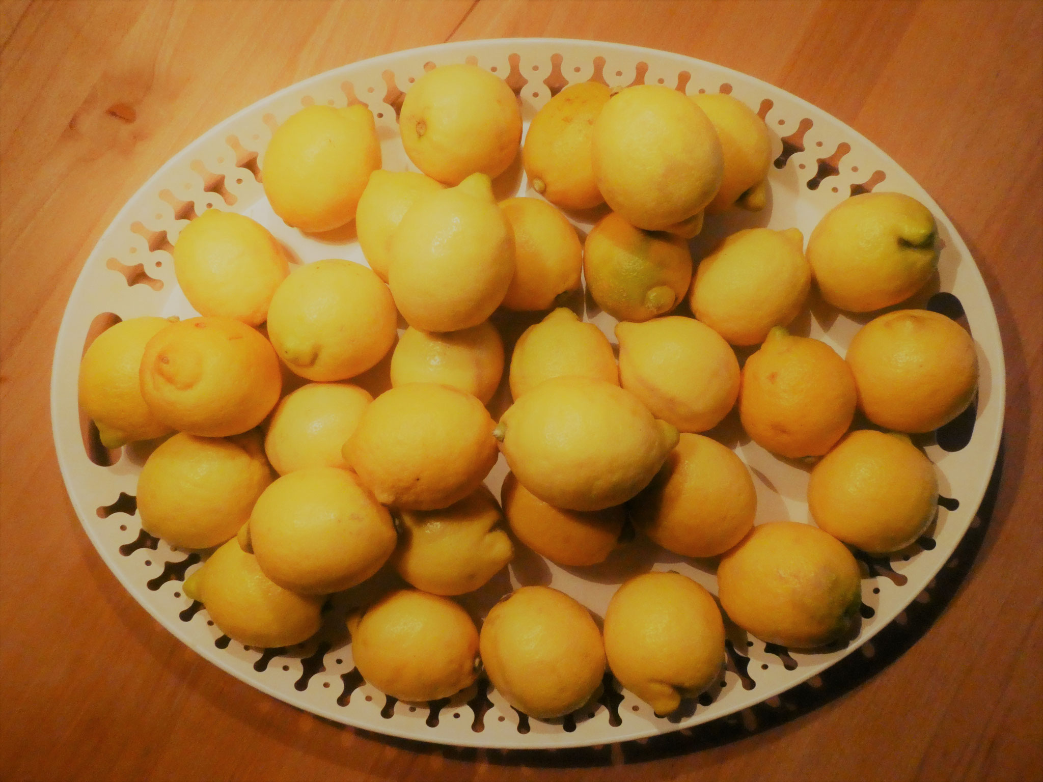 frisch & aromatisch