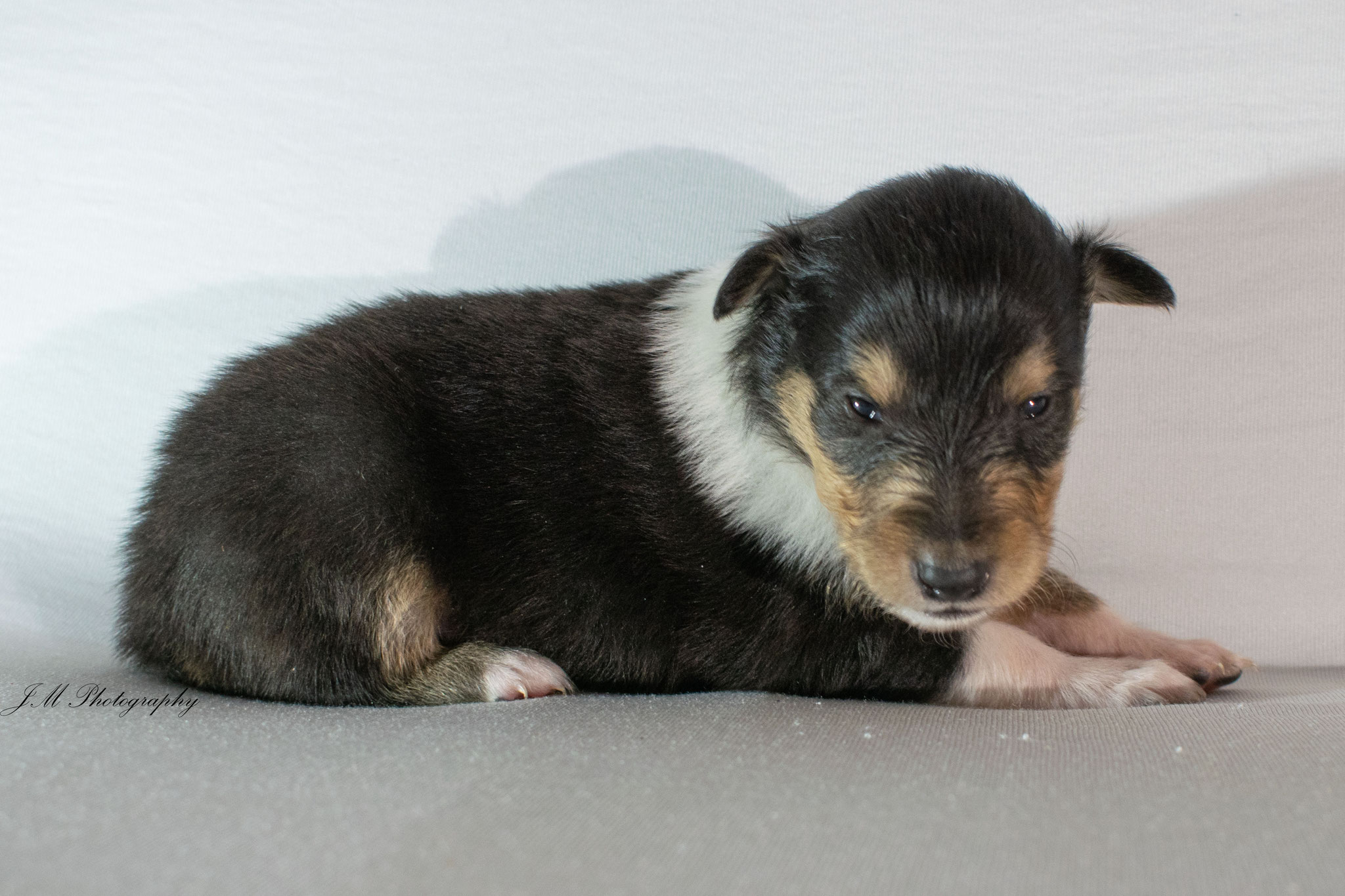 18. September 2019