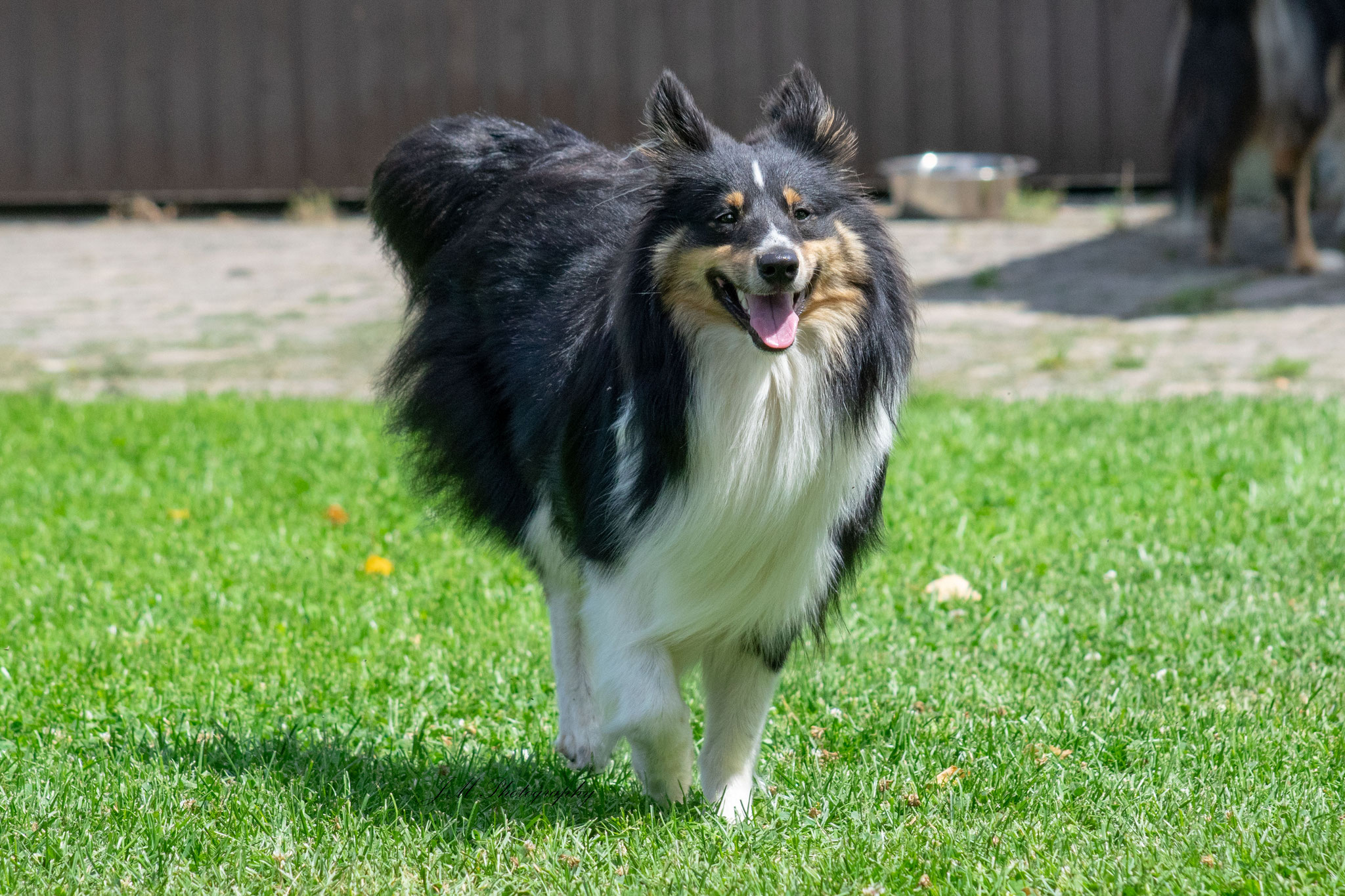 Monty