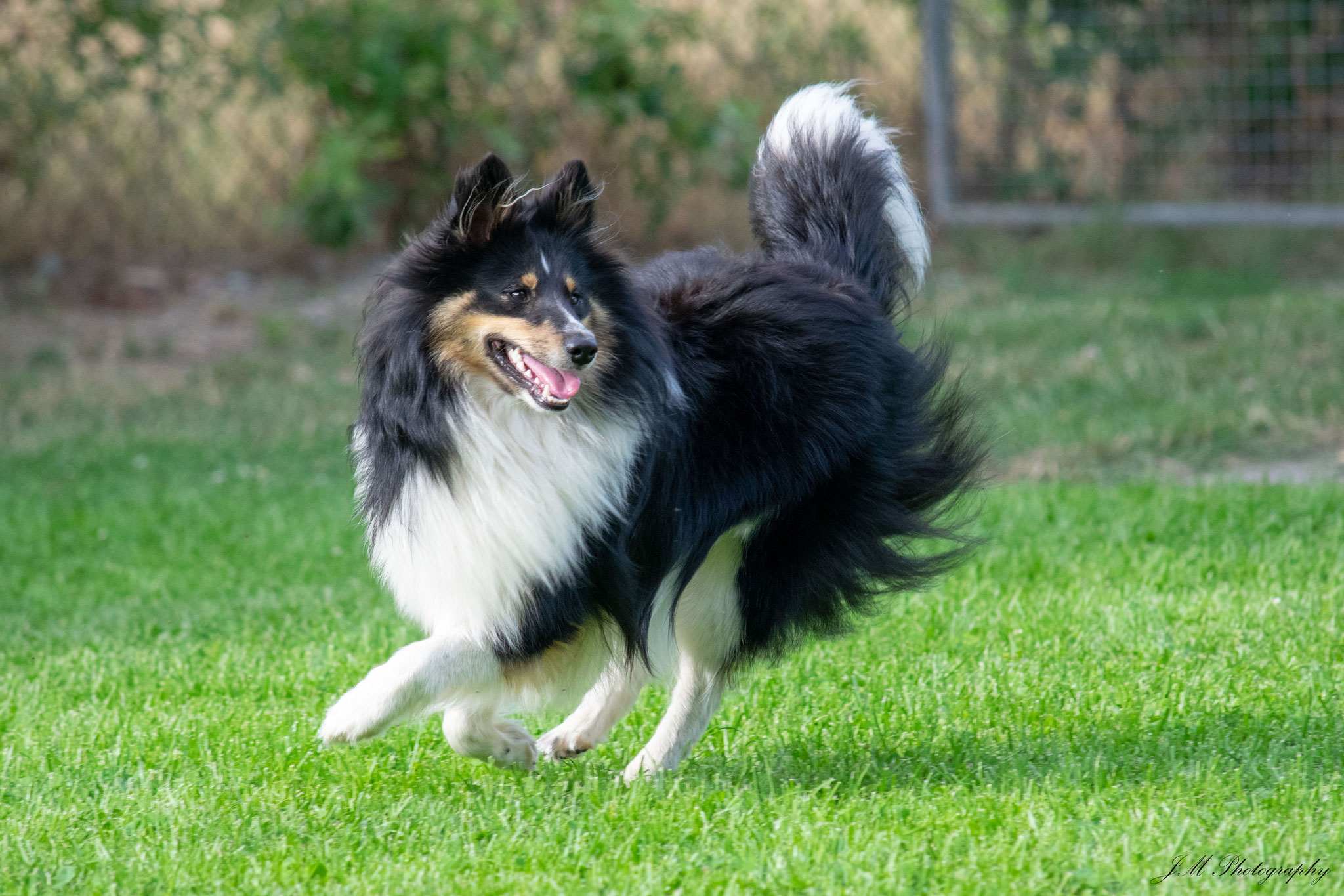 Monty