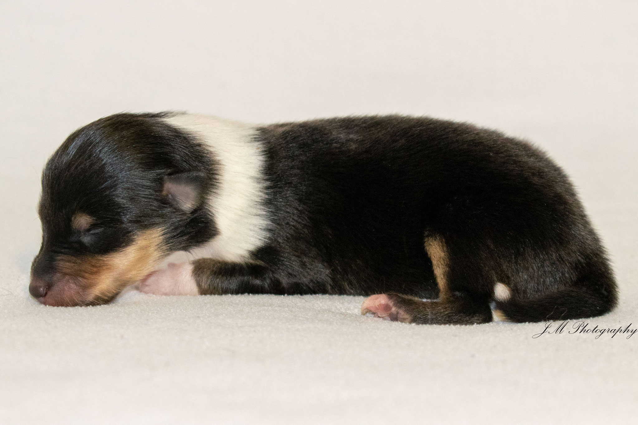 01. September 2019