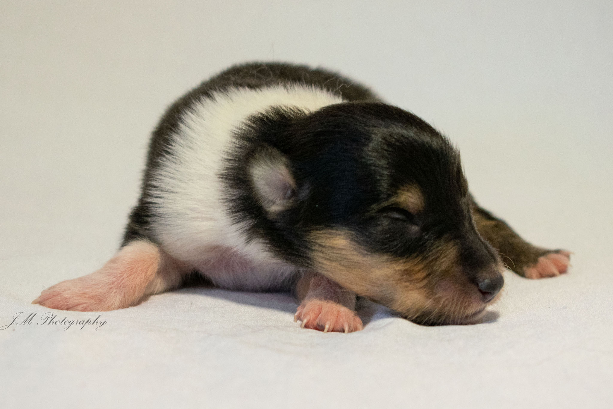 07. September 2019