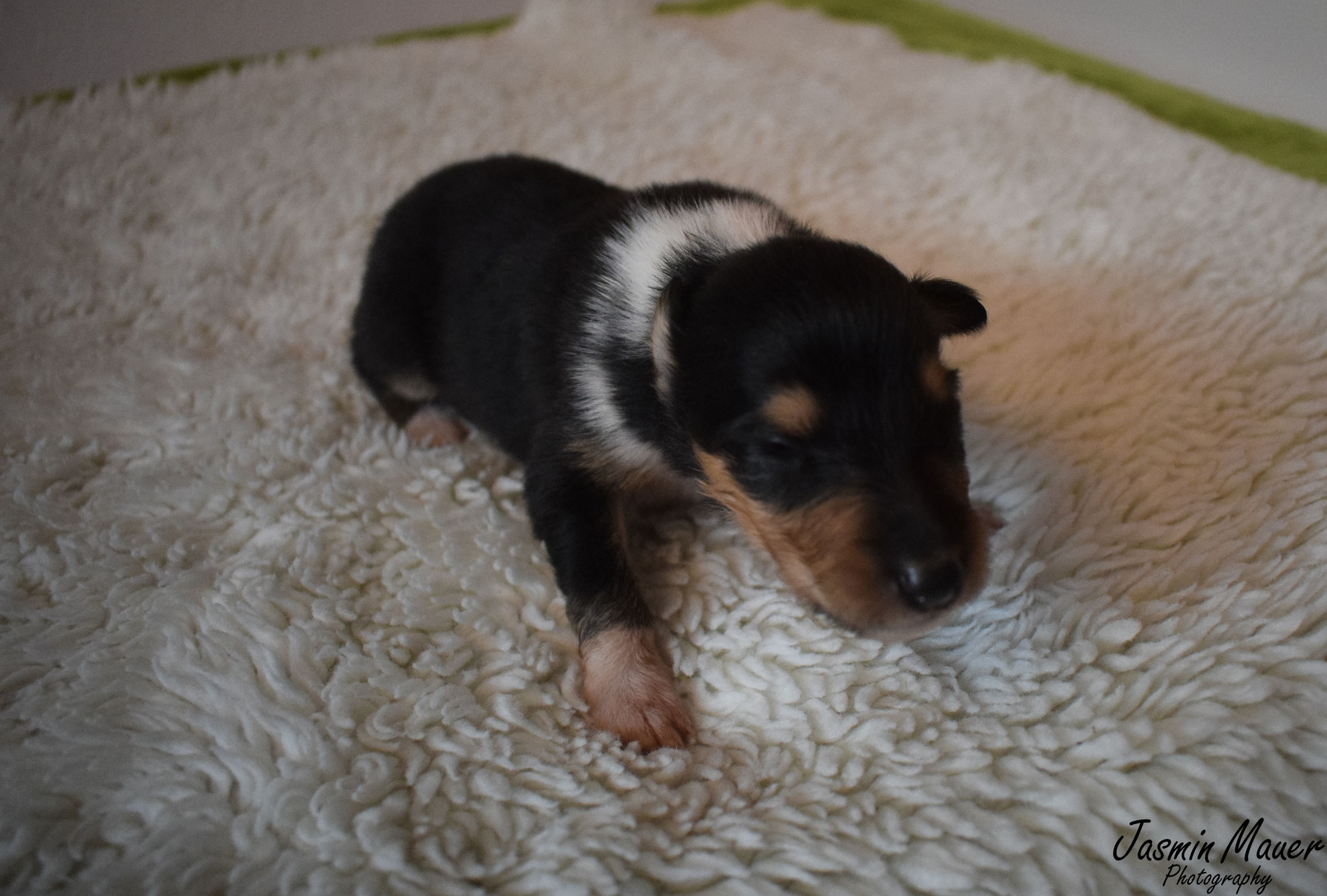 10. Mai 2018