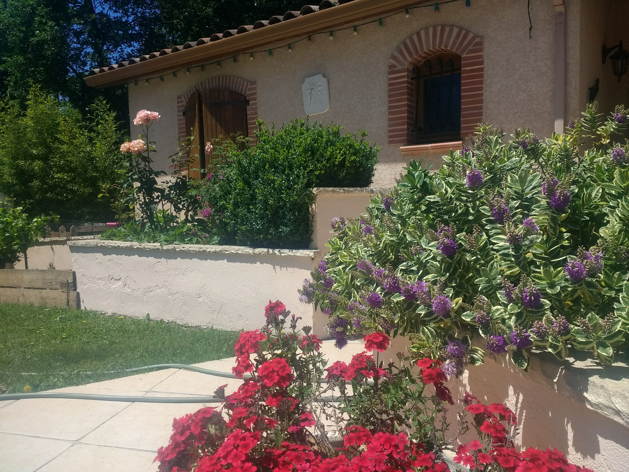 Entretien jardinieres de plantes et fleurs