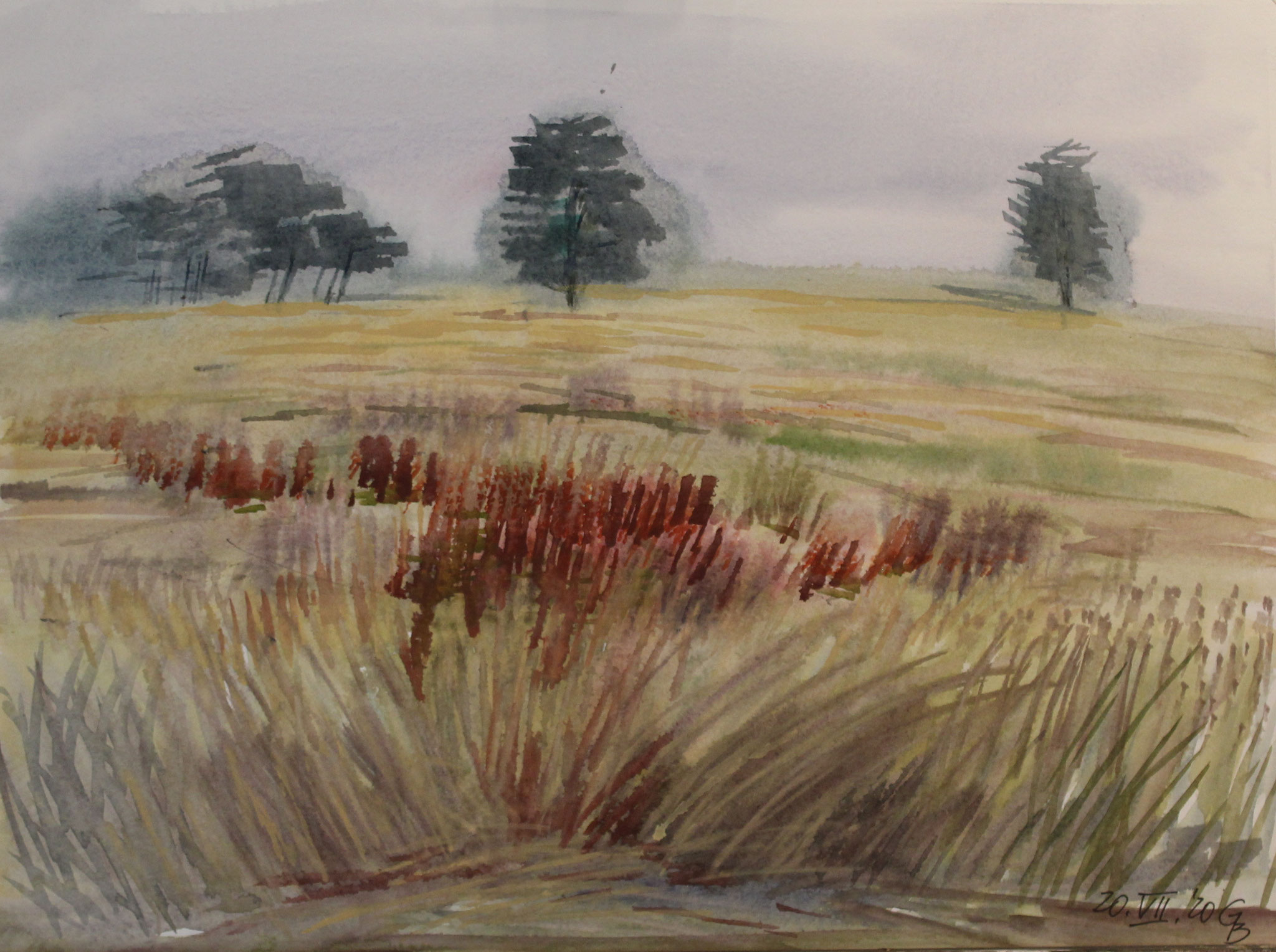 Blühender Sauerampfer I, 2020, Aquarell, 33x45