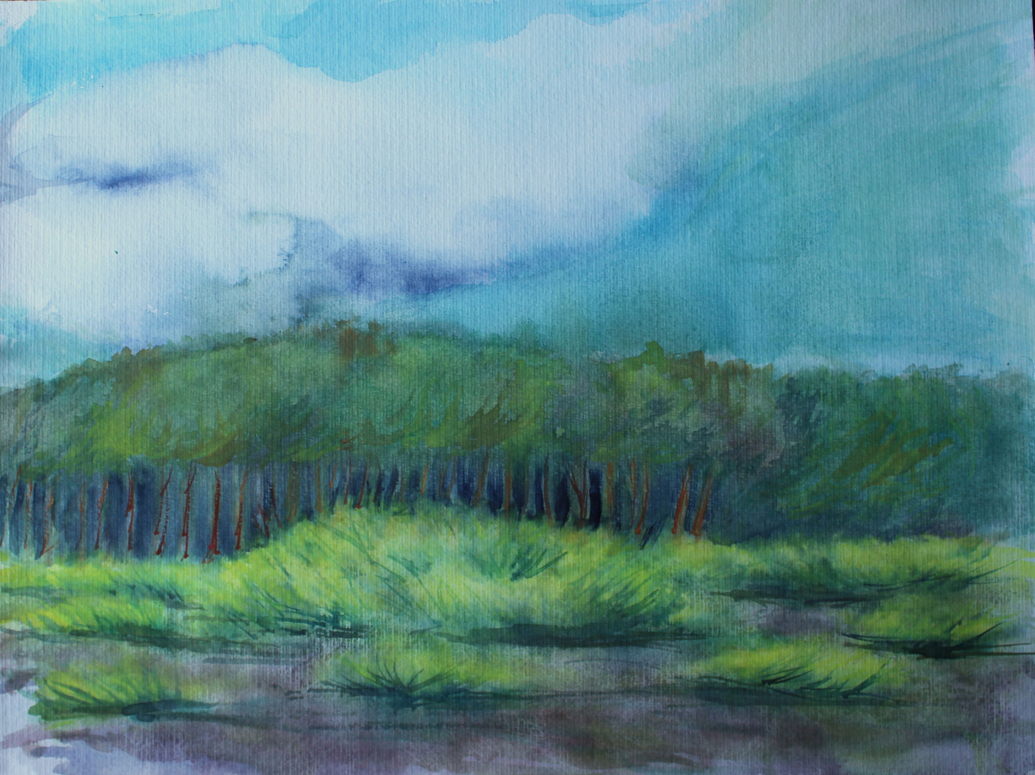 Ginster, 2022, Aquarell, 42x56