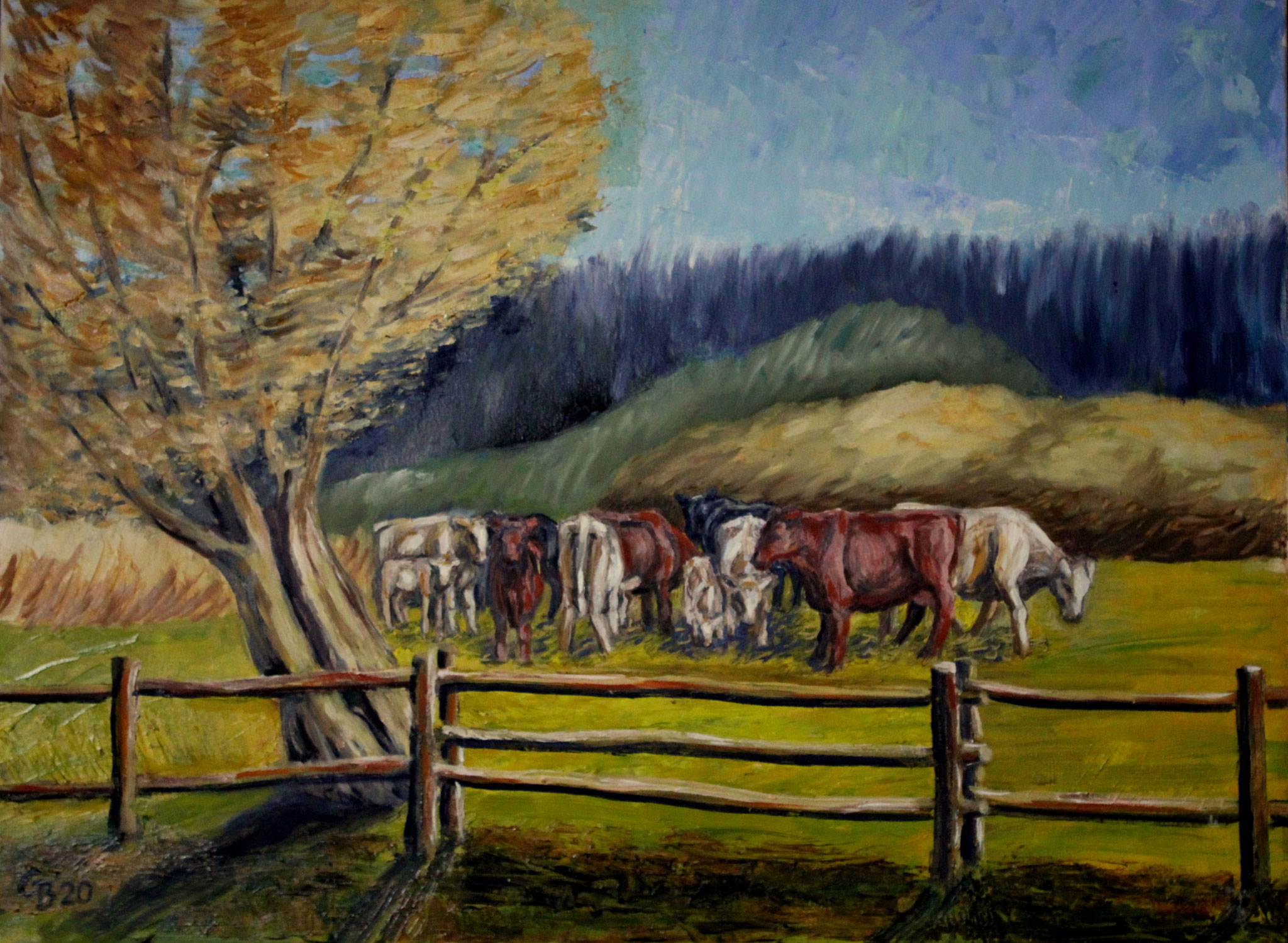 Kühe, 2020, Öl auf Leinwand, 60x80cm