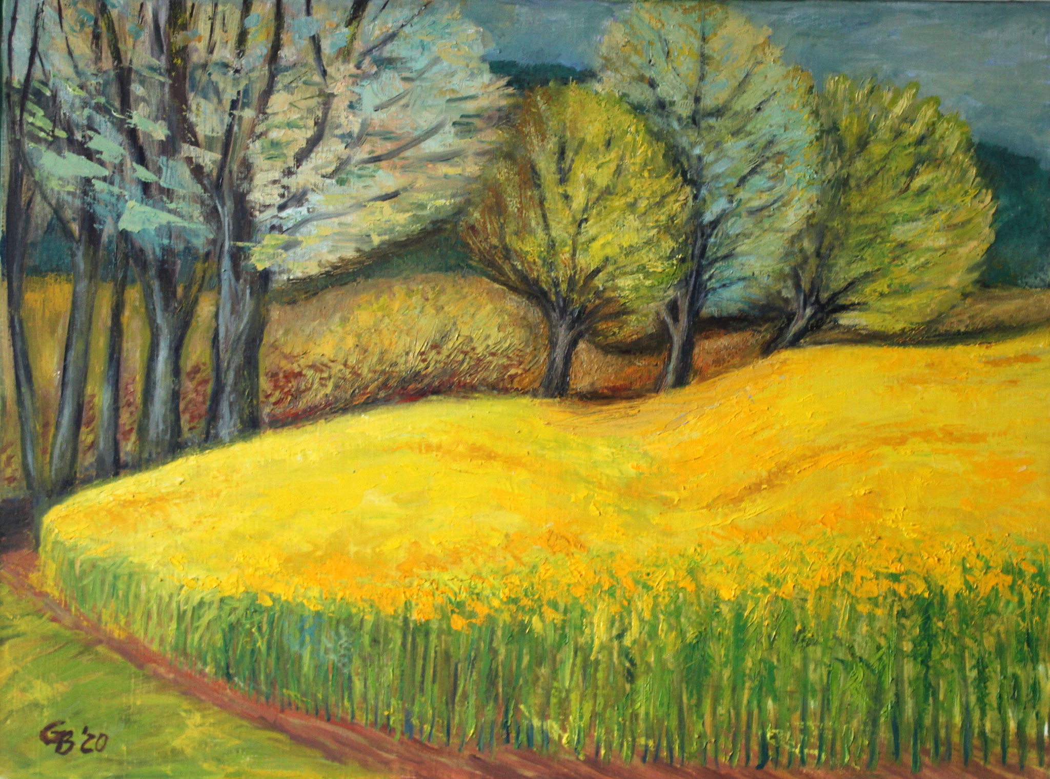 Raps, 2020, Öl auf Leinwand, 60x80cm