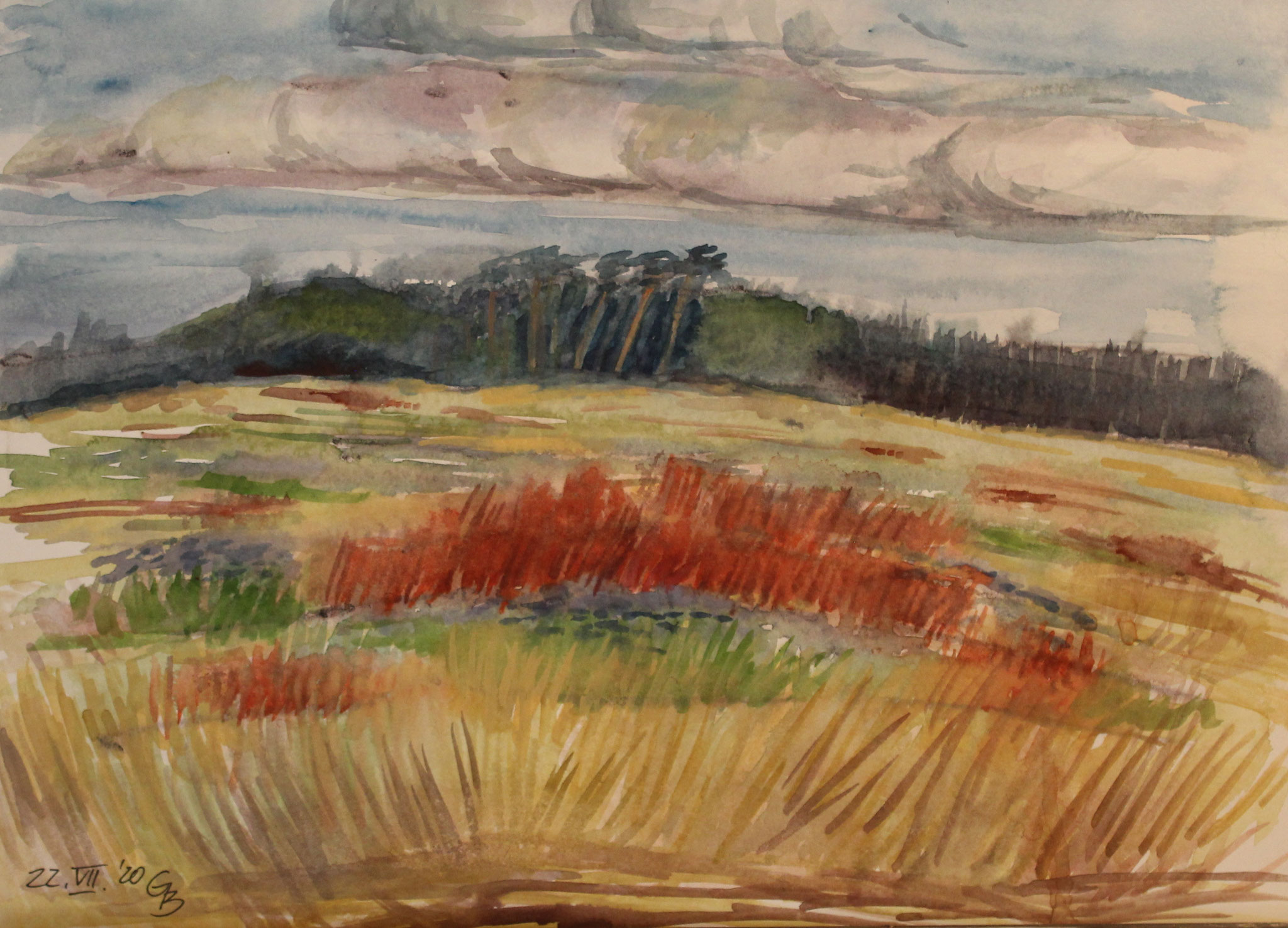 Blühender Sauerampfer II, 2020, Aquarell, 33x45