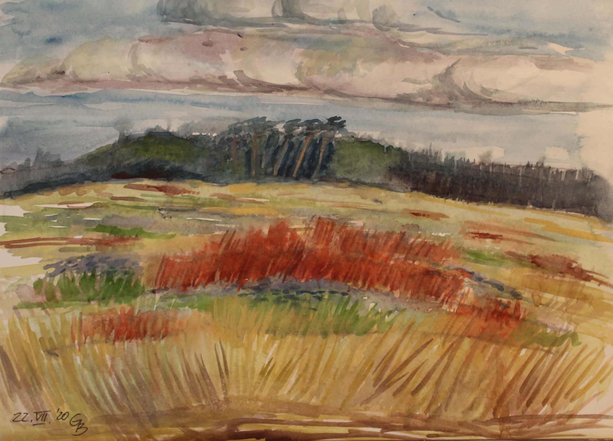 Blühender Sauerampfer II, 2020, Aquarell, 33x45