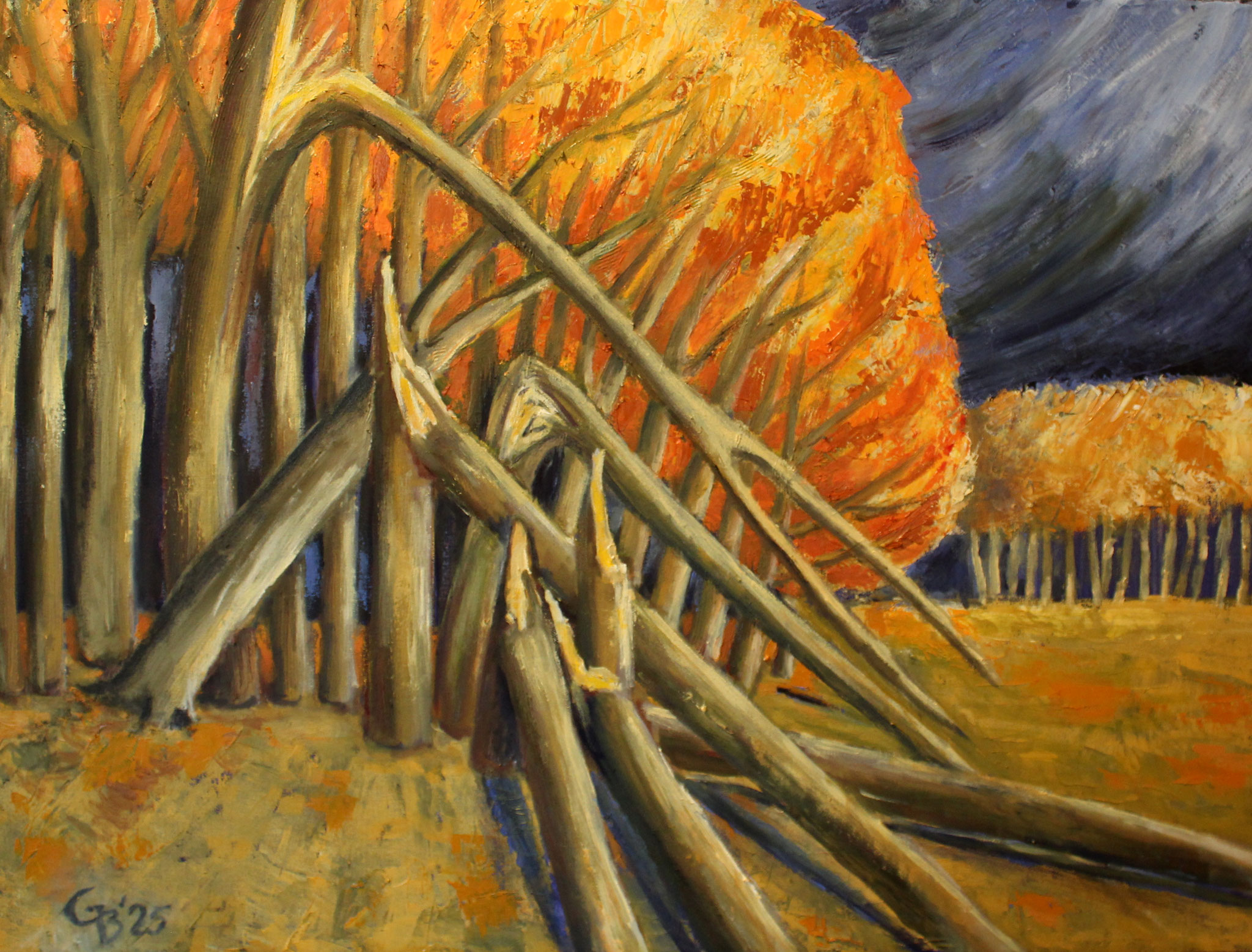 Windbruch, 2025, Öl auf Leinwand, 60x80cm