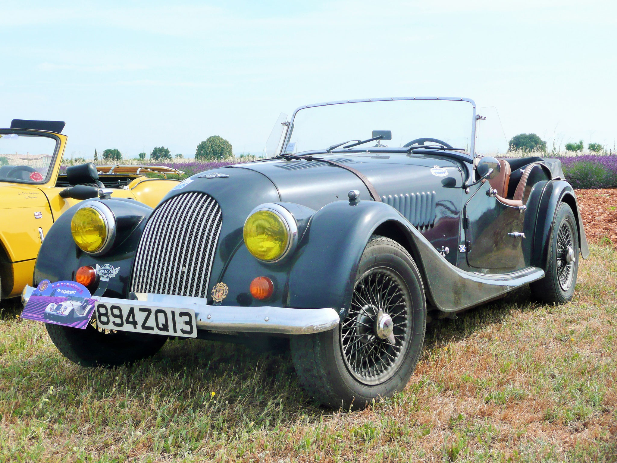 Morgan Tourer