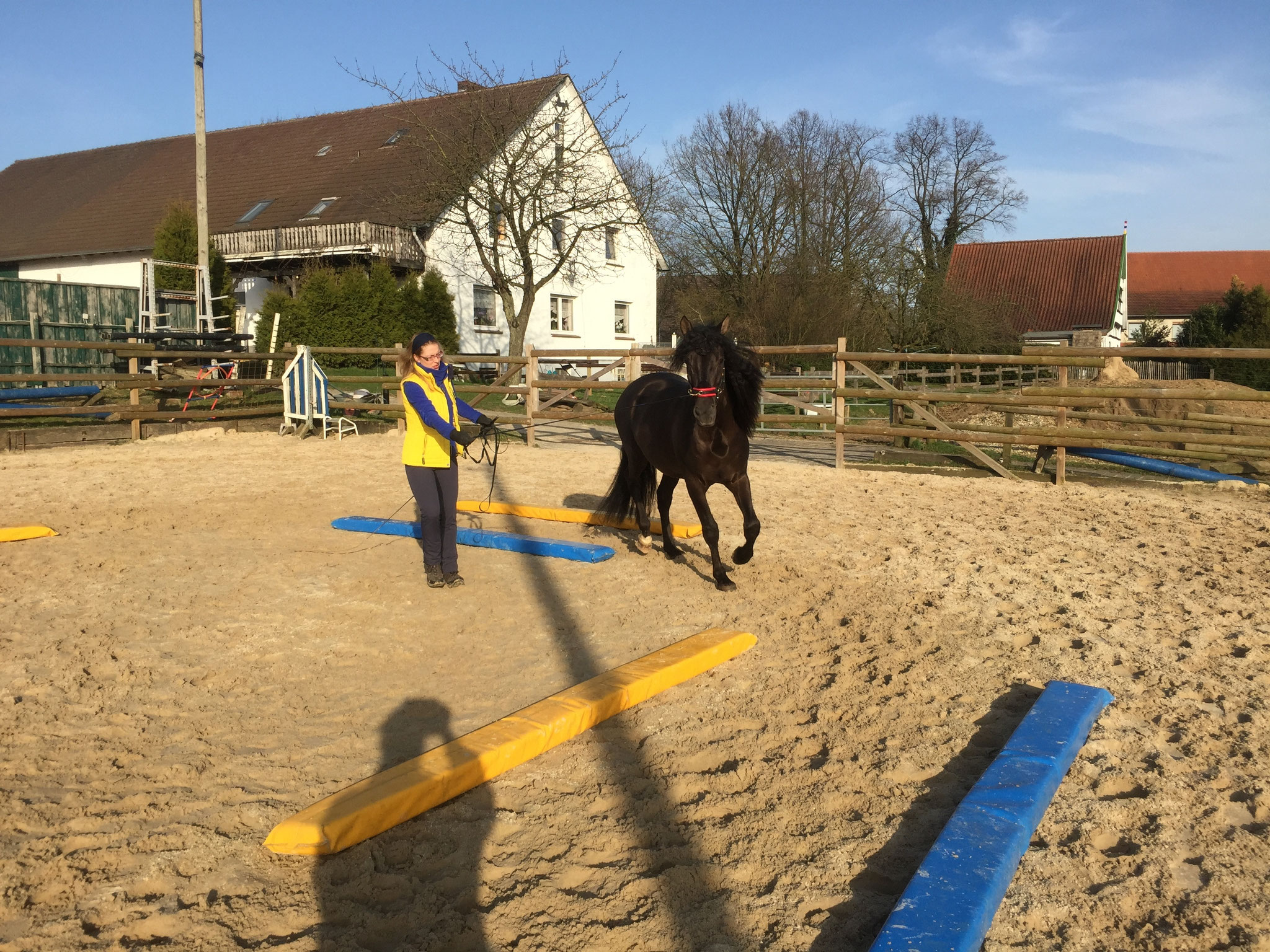 Was ist Was ist DualAktivierung u. wie es