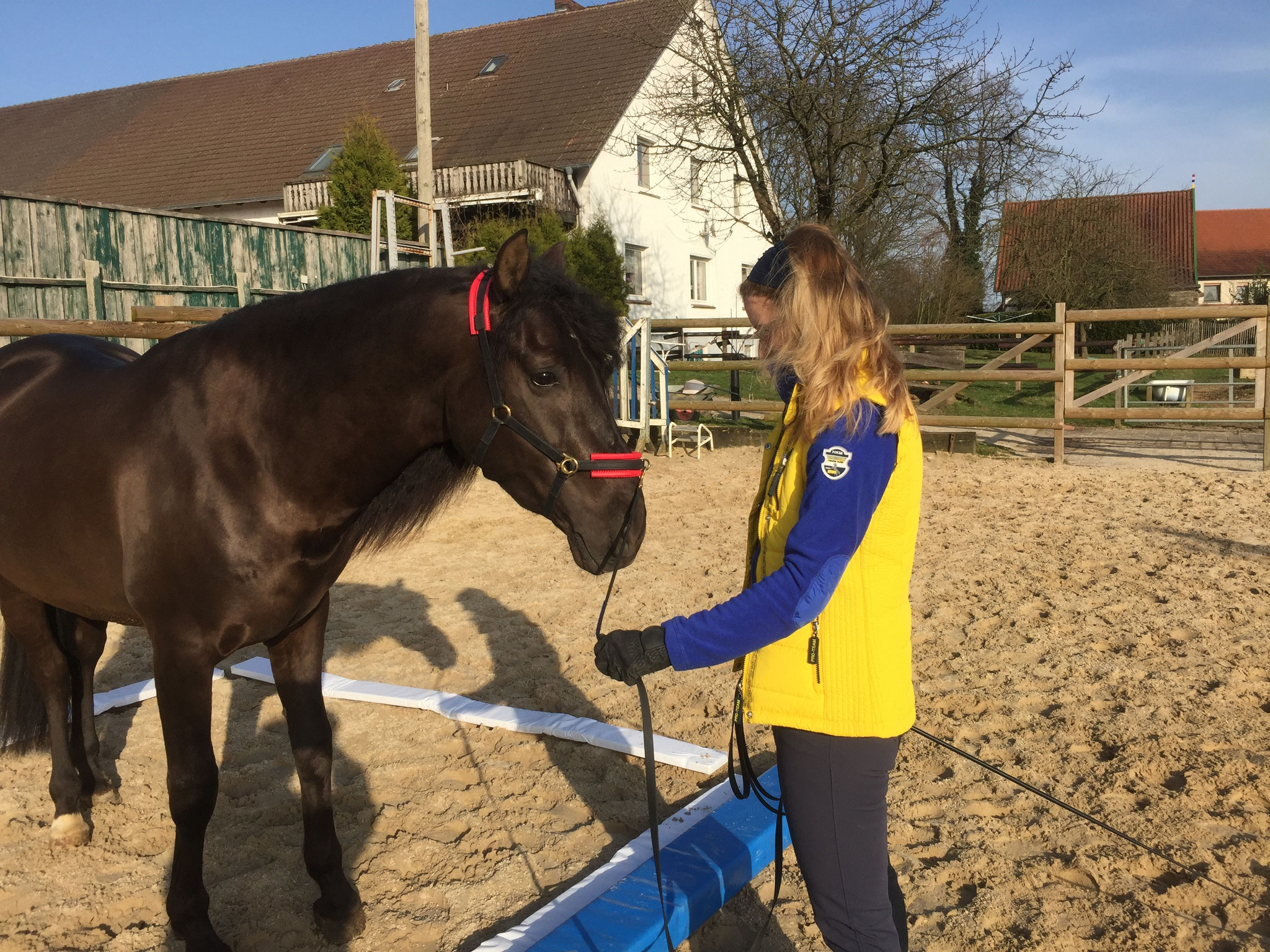 Was ist Was ist DualAktivierung u. wie es