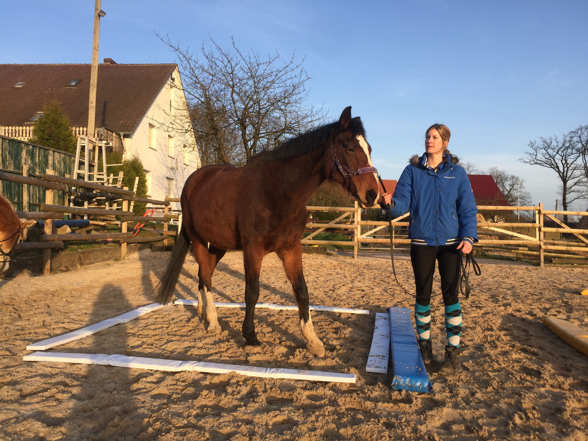 Was ist Was ist DualAktivierung u. wie es