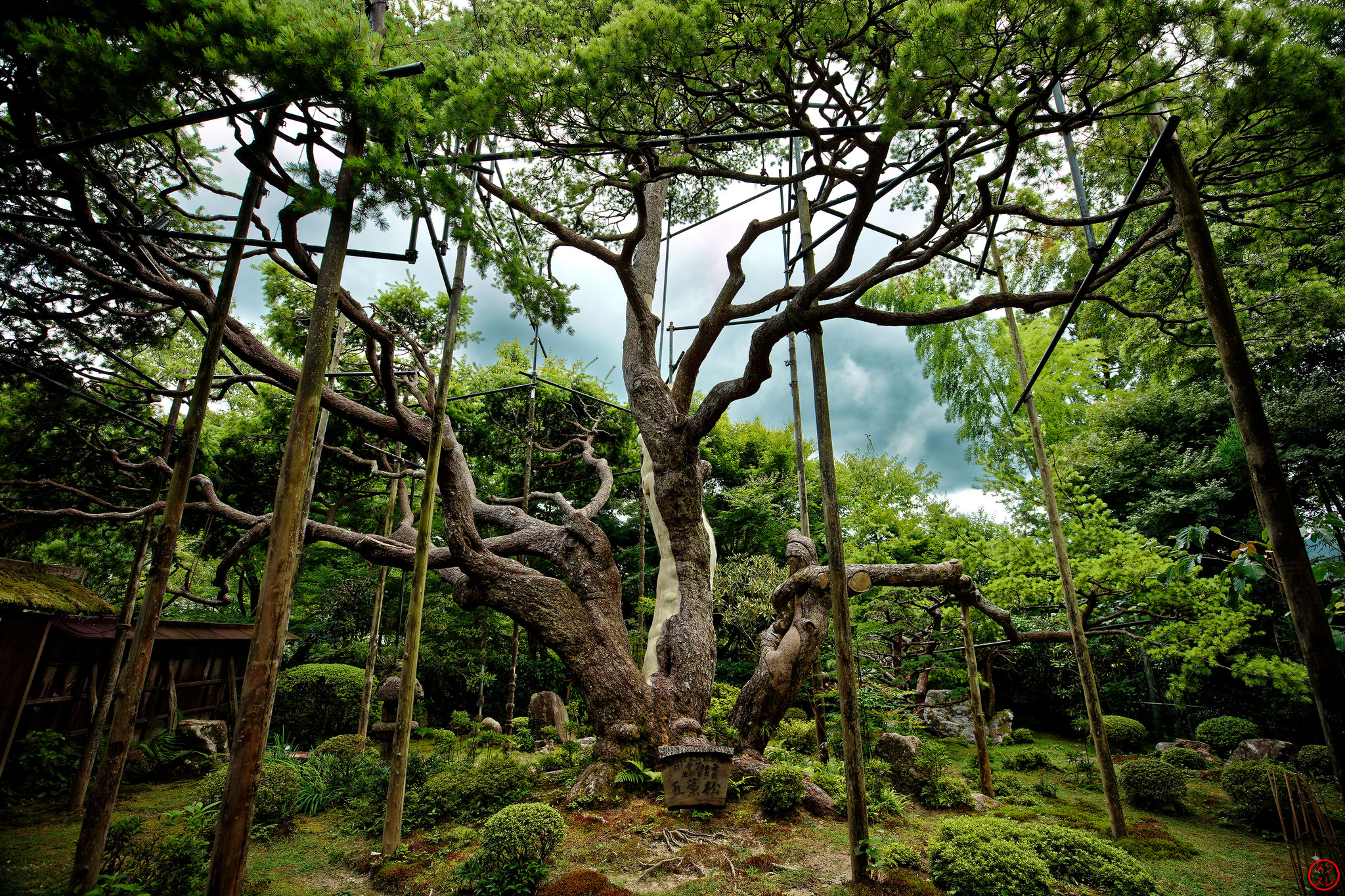 Kyoto, août 2018