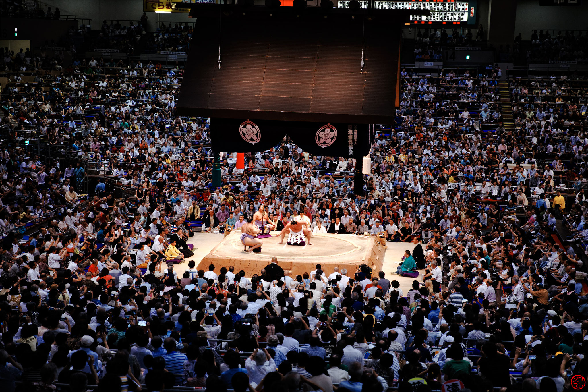 Sumo, Nagoya, Juillet 2015.