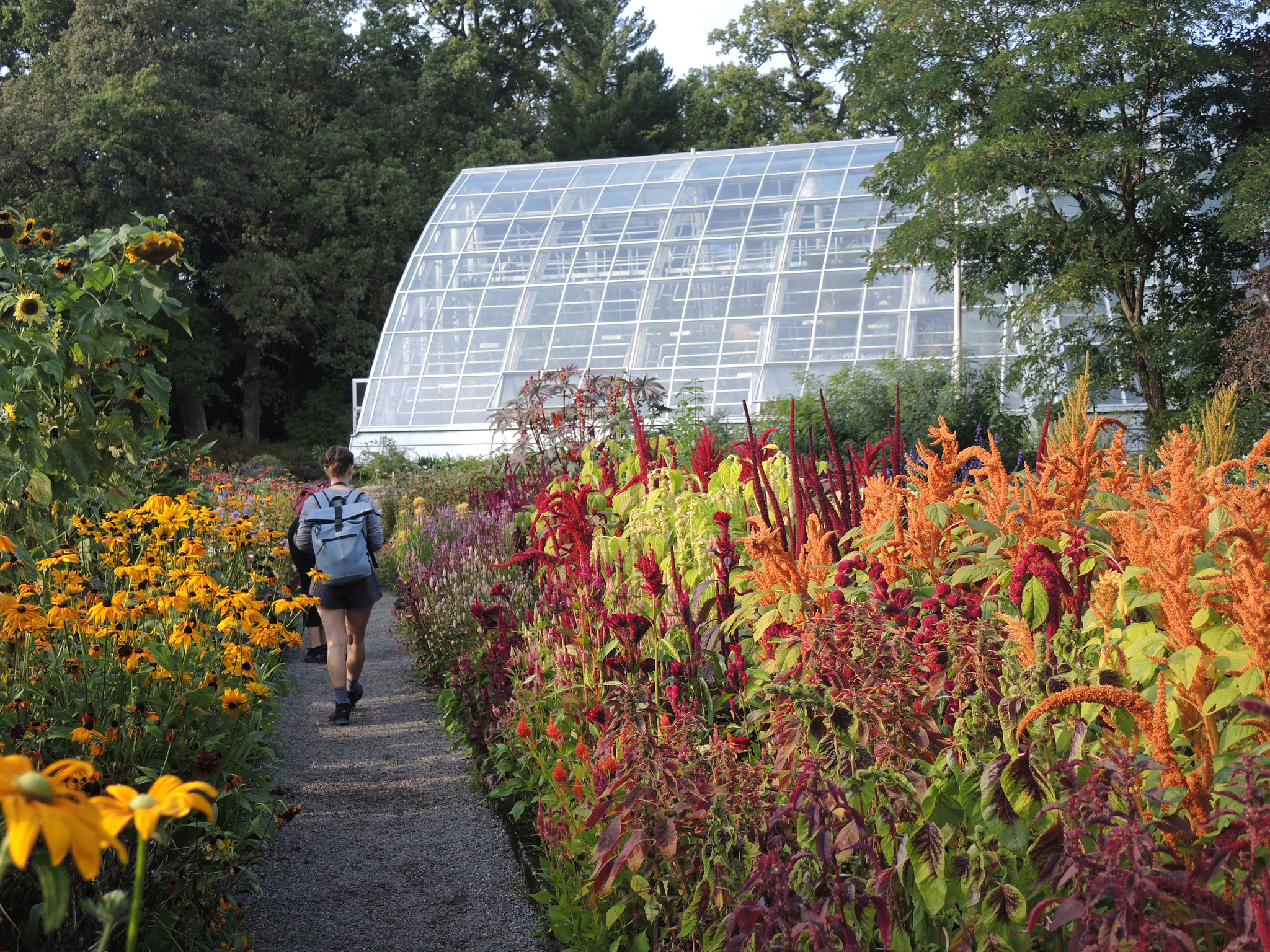 Botanischer Garten auf Ruissalo (Foto privat)