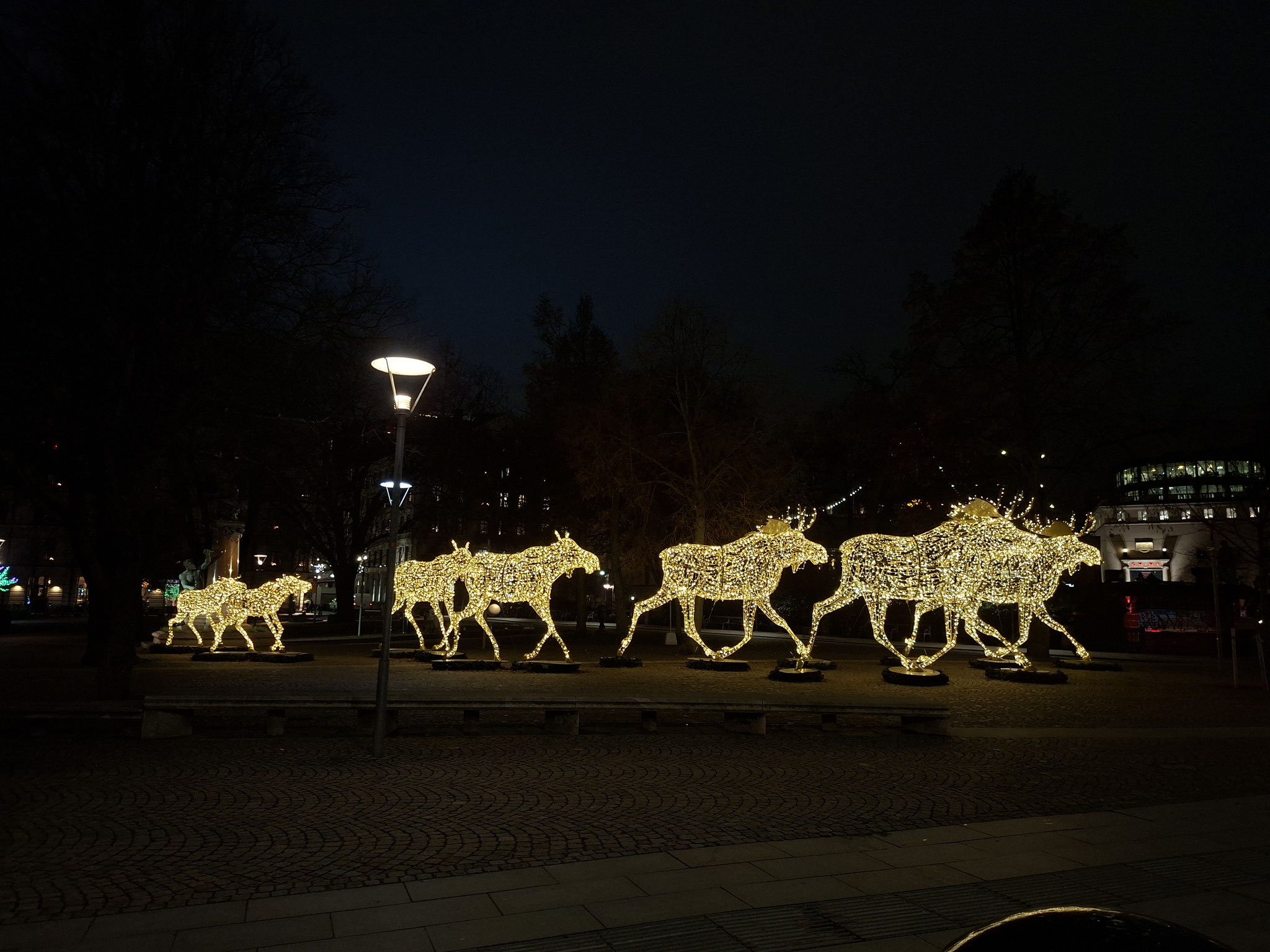 Leuchtende Elche als Winterdeko am Nybroplan in Stockholm.