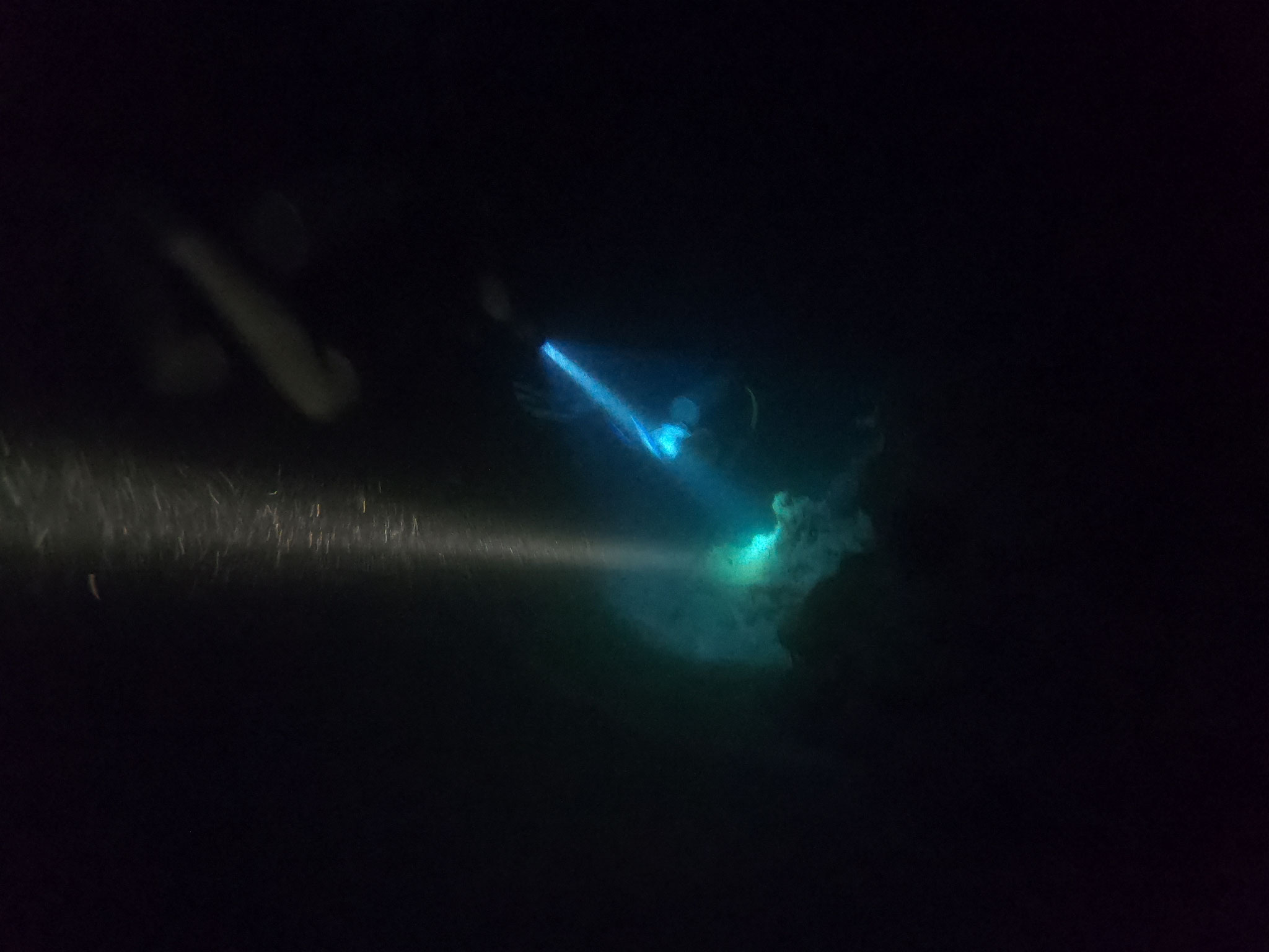 Kurze Sicht beim Night Dive