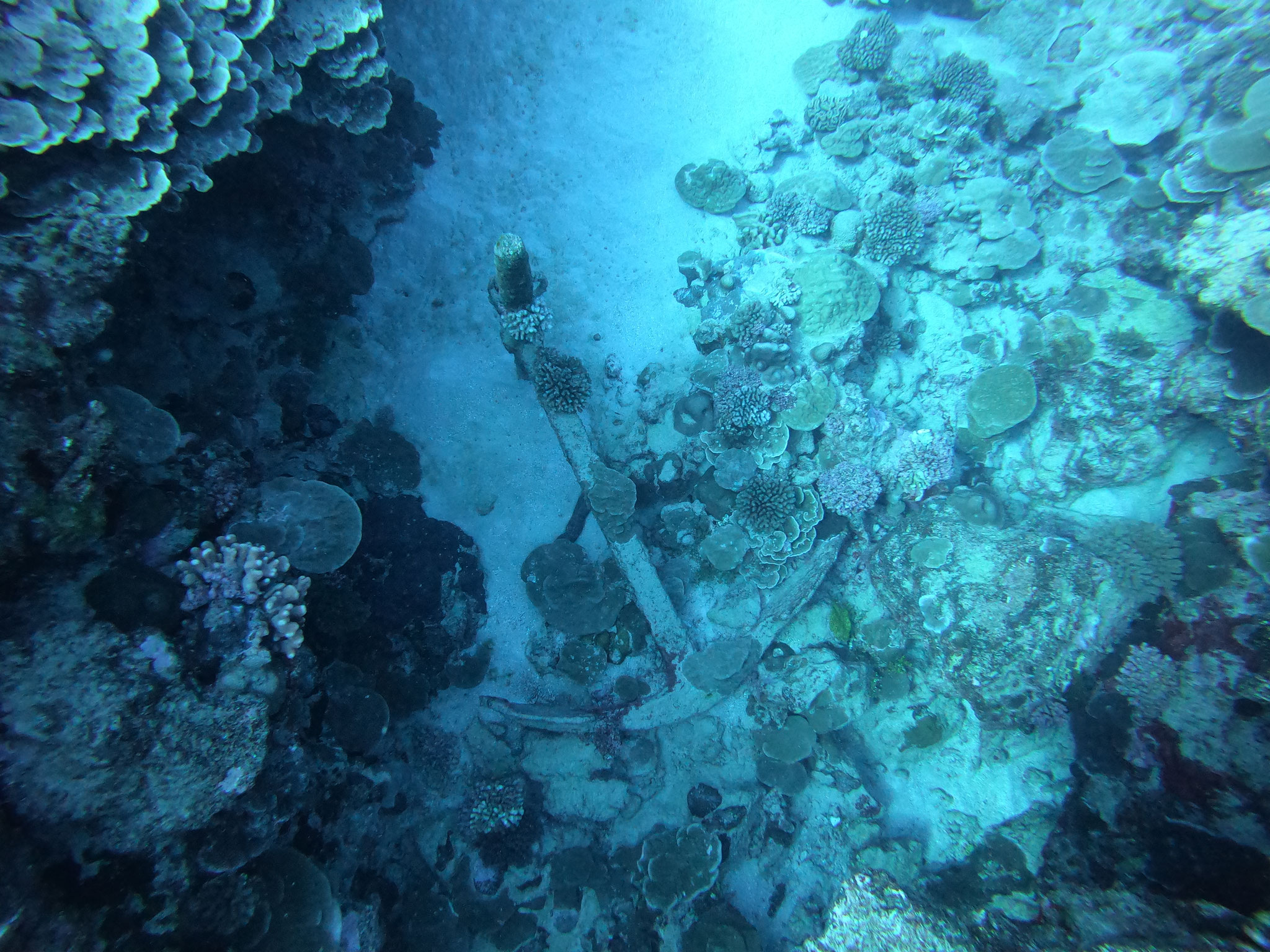 Ednas Anchor