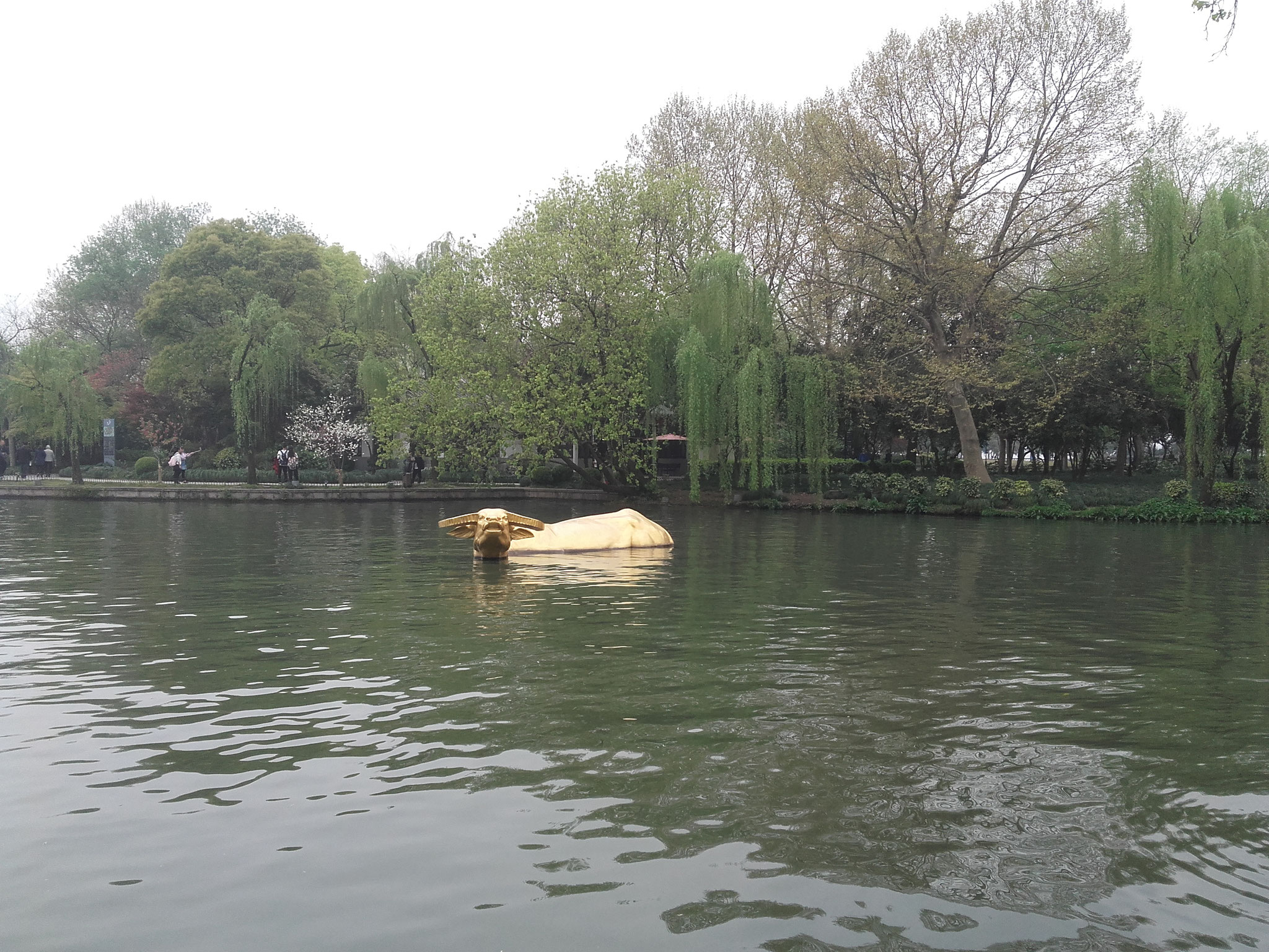 La ville d'Hangzhou a connu une grande période de sécheresse il y a plusieurs centaines d'années. Selon le folklore local, une vache se serait baignée dans le lac et aurait apporté la pluie !