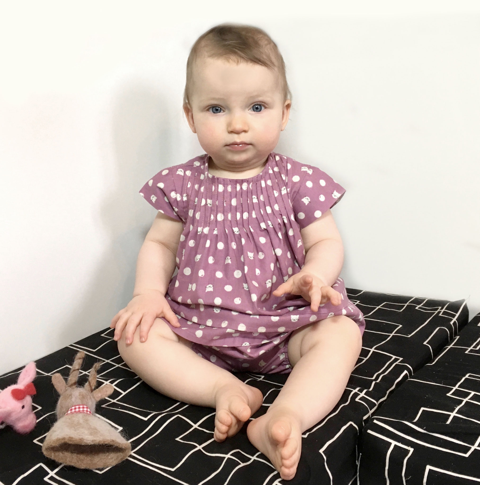 Cotton and Steel Basics toddlintownfabrics