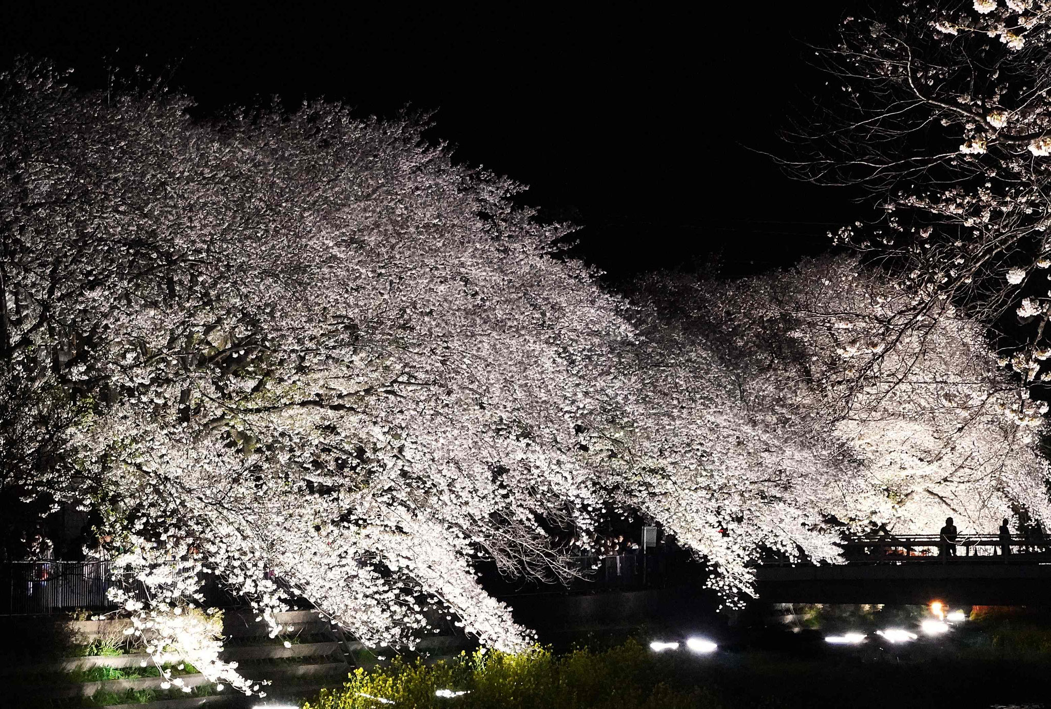 江本　啓　「一夜限りの情景①」