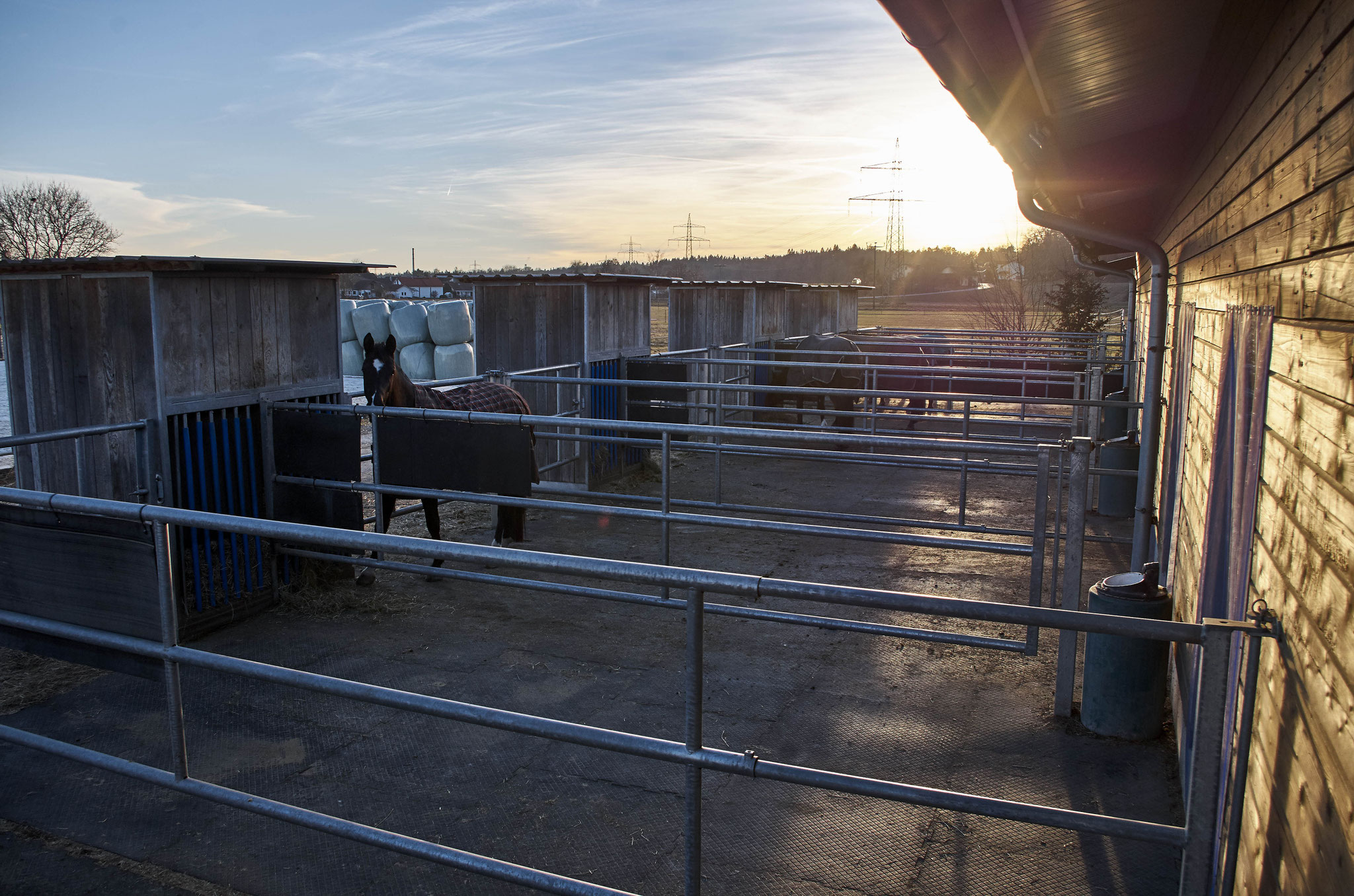 Blick über die 14 Paddocks.