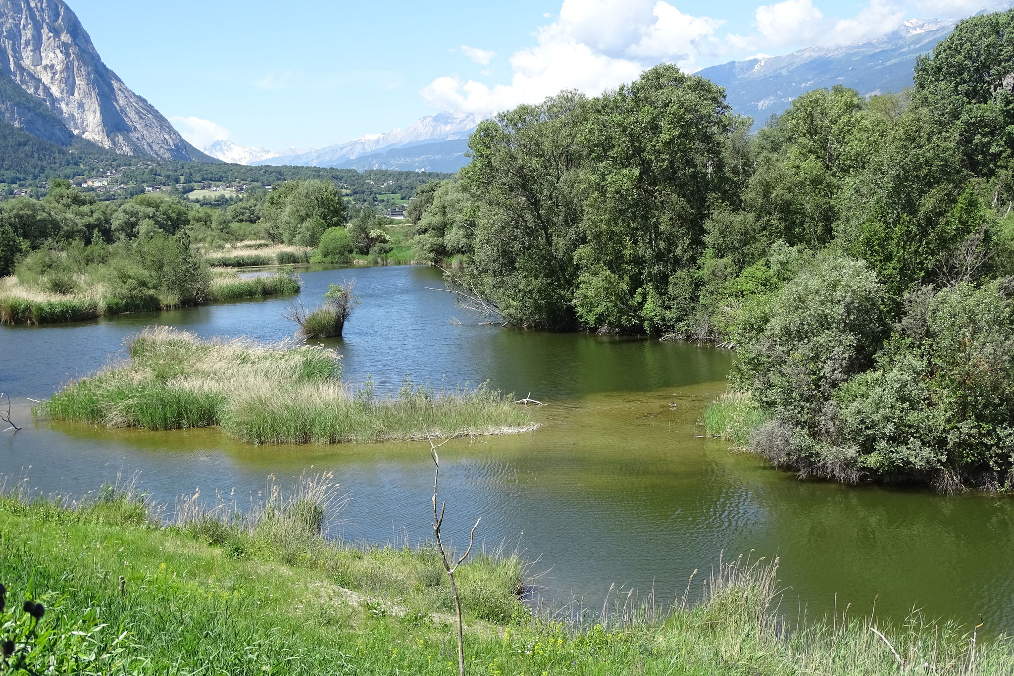 Alte Rhone bei Leuk