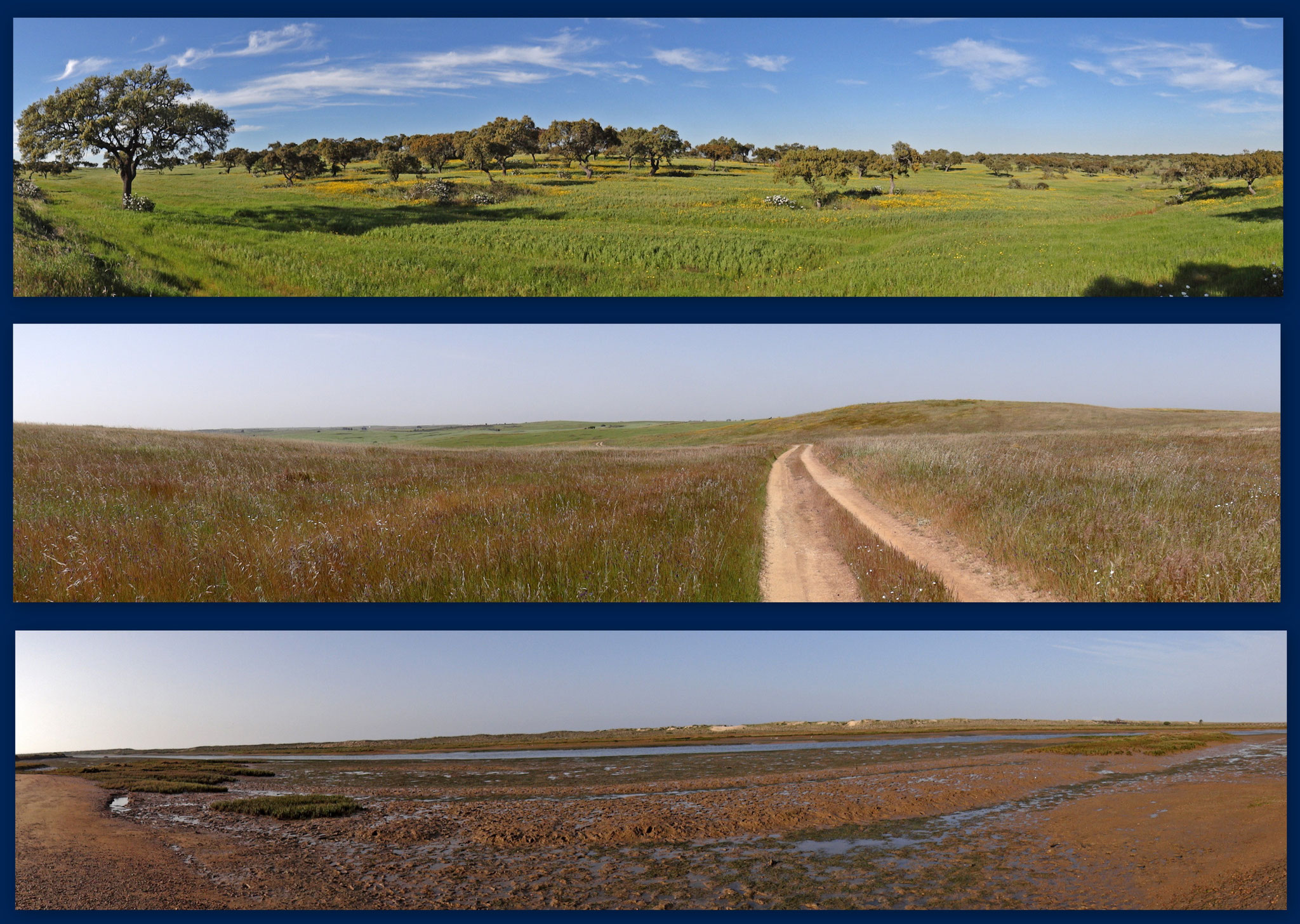 Landschaftliche Vielfalt in Süd-Portugal: Korkeichen-Montada, Grassteppenlandschaft, Salzlagune