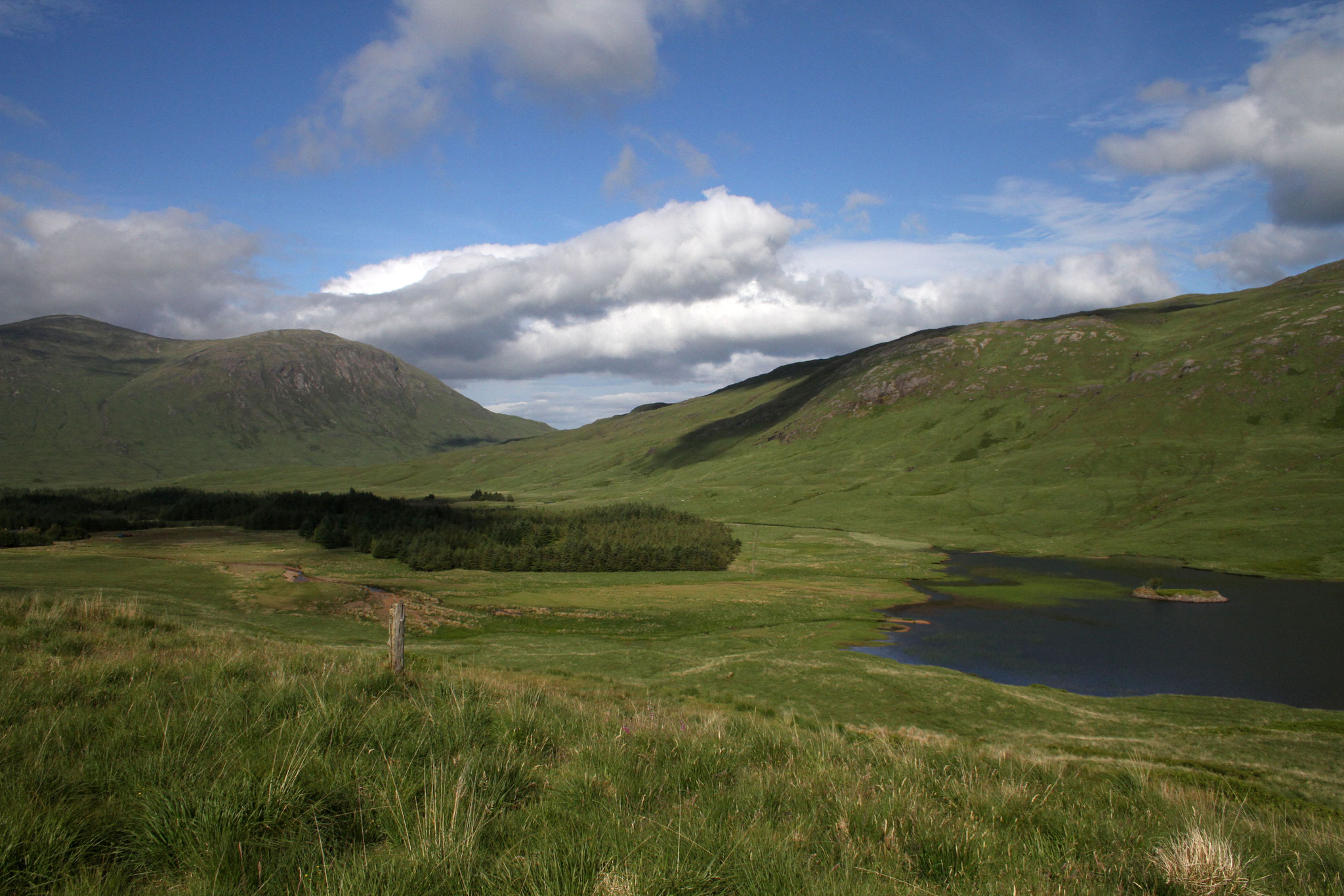 Bei den Three Lochs am Ben More soll es Steinadler, Sumpfohreulen und Kornweihen geben ... wir sehen dort weder noch. 