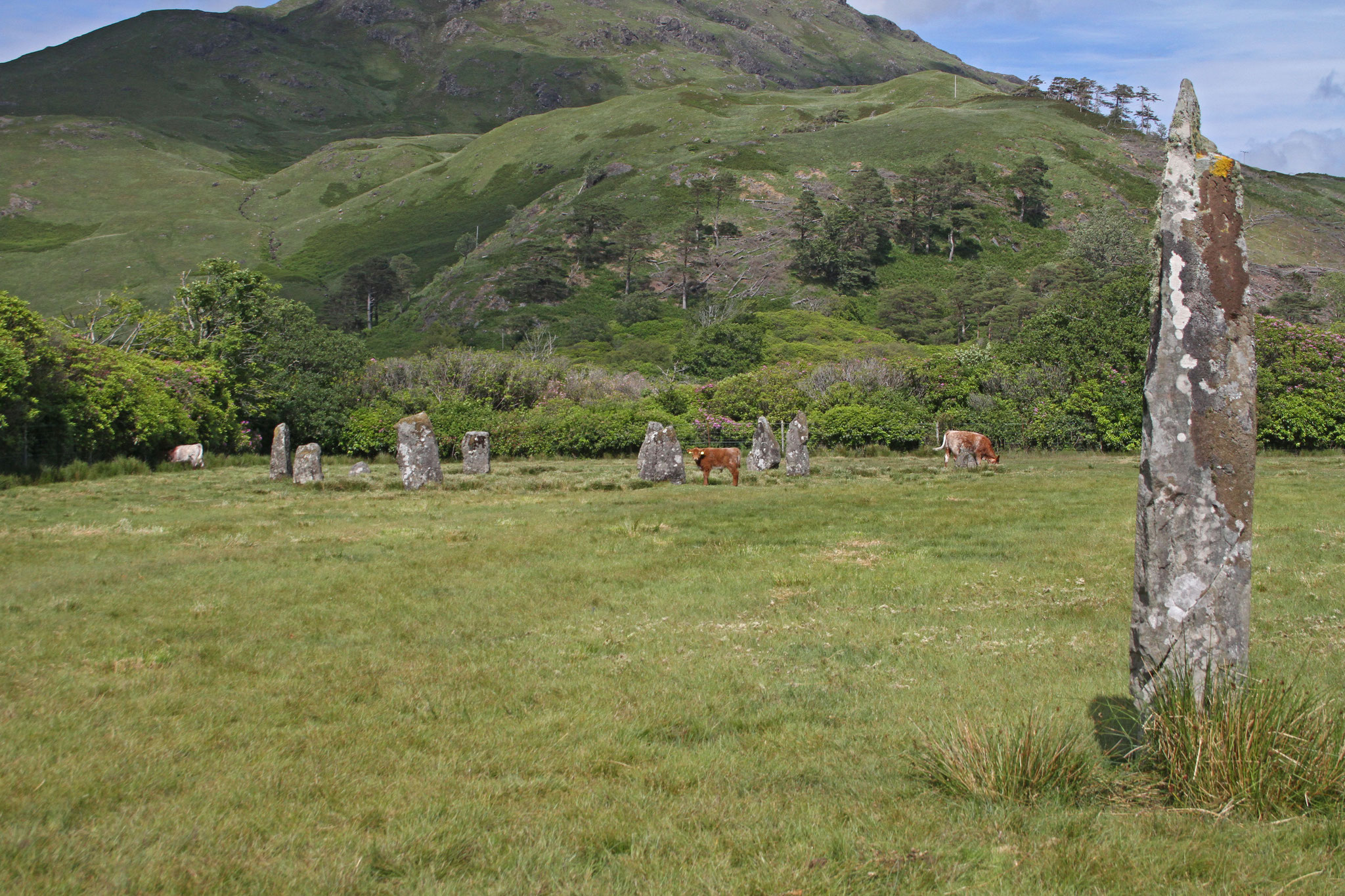 Am Lochbuie im Süden der Insel besuchen wir einen prähistorischen Steinkreis, eine Art "Mini-Stonehenge"