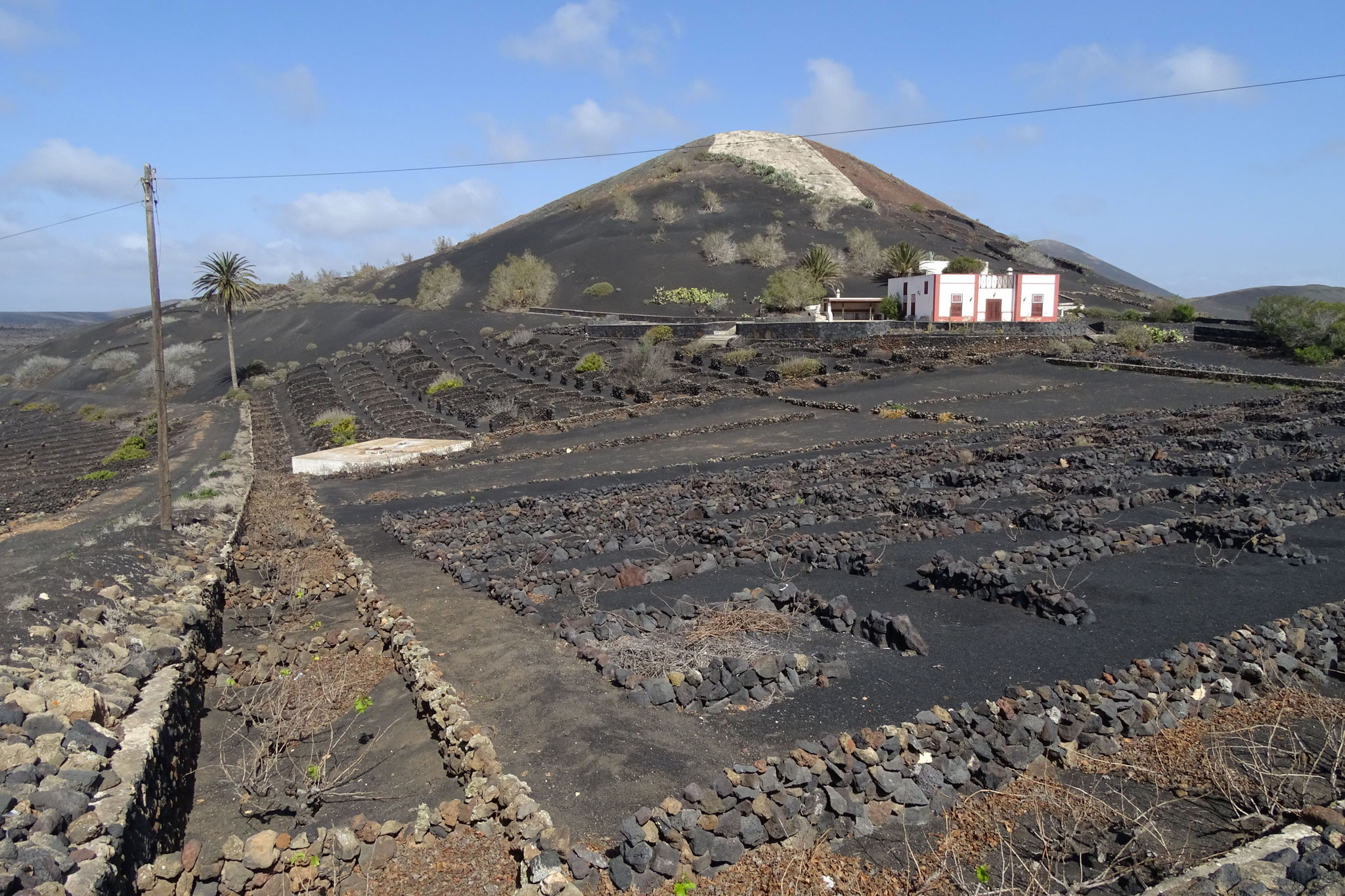 Ansonsten wollen wir einfach mal einen Eindruck dieser von Fuerteventura so unterschiedlichen Insel erhalten