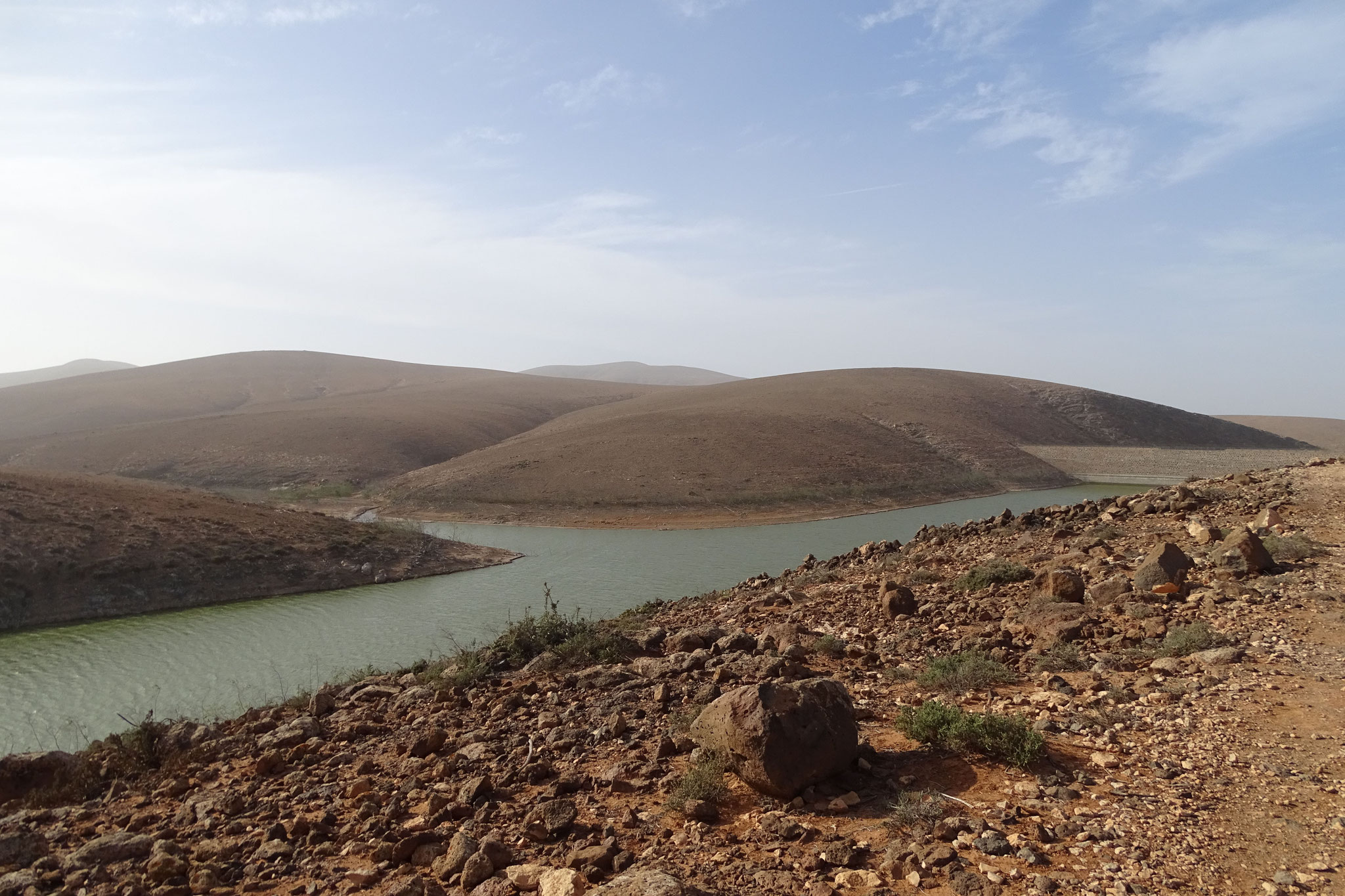 Ein Abstecher zum Stausee Los Molinos brachte einige Wasservögel und Limikolen, aber zu weit weg für gute Bilder