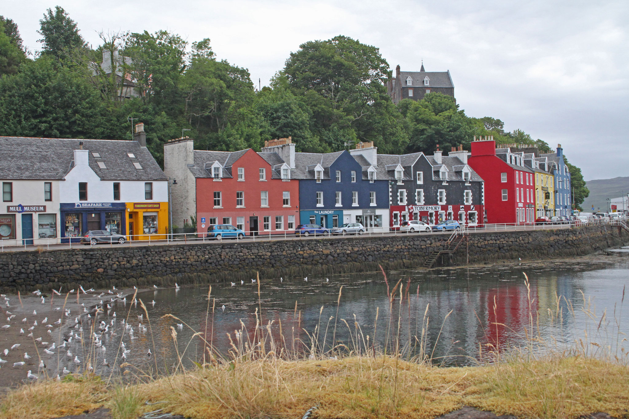 Die farbigen Häuser von Tobermory machen auch bei trübem Wetter einen fröhlichen Eindruck