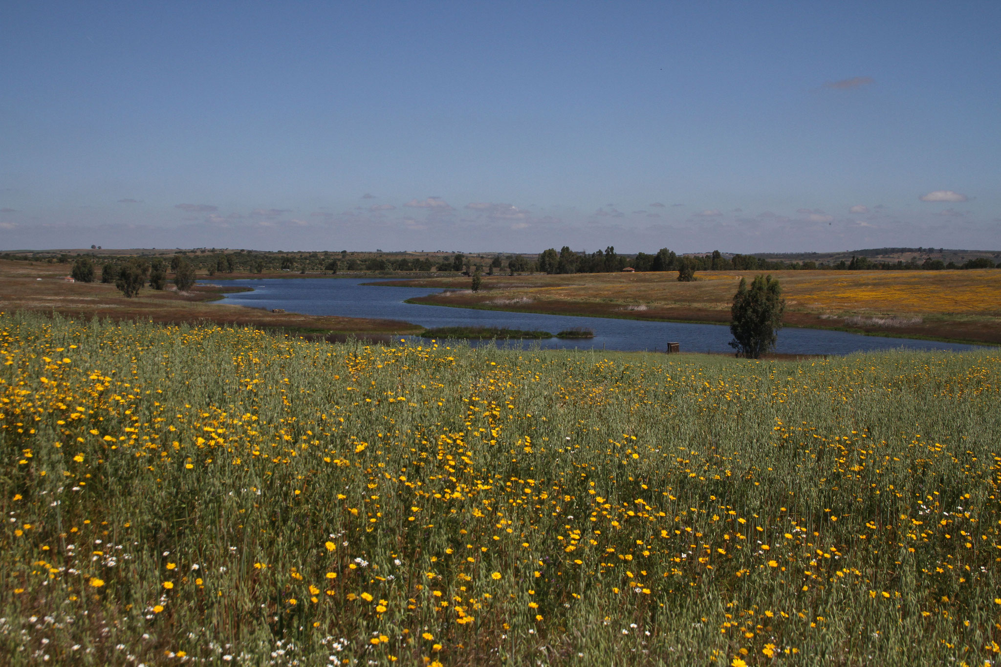 Ein kleiner See mit einer stattlichen Artenvielt an Wasservögeln gehört auch dazu, darunter Löffler, Rosaflamingos und viele Enten- und Limikolenarten